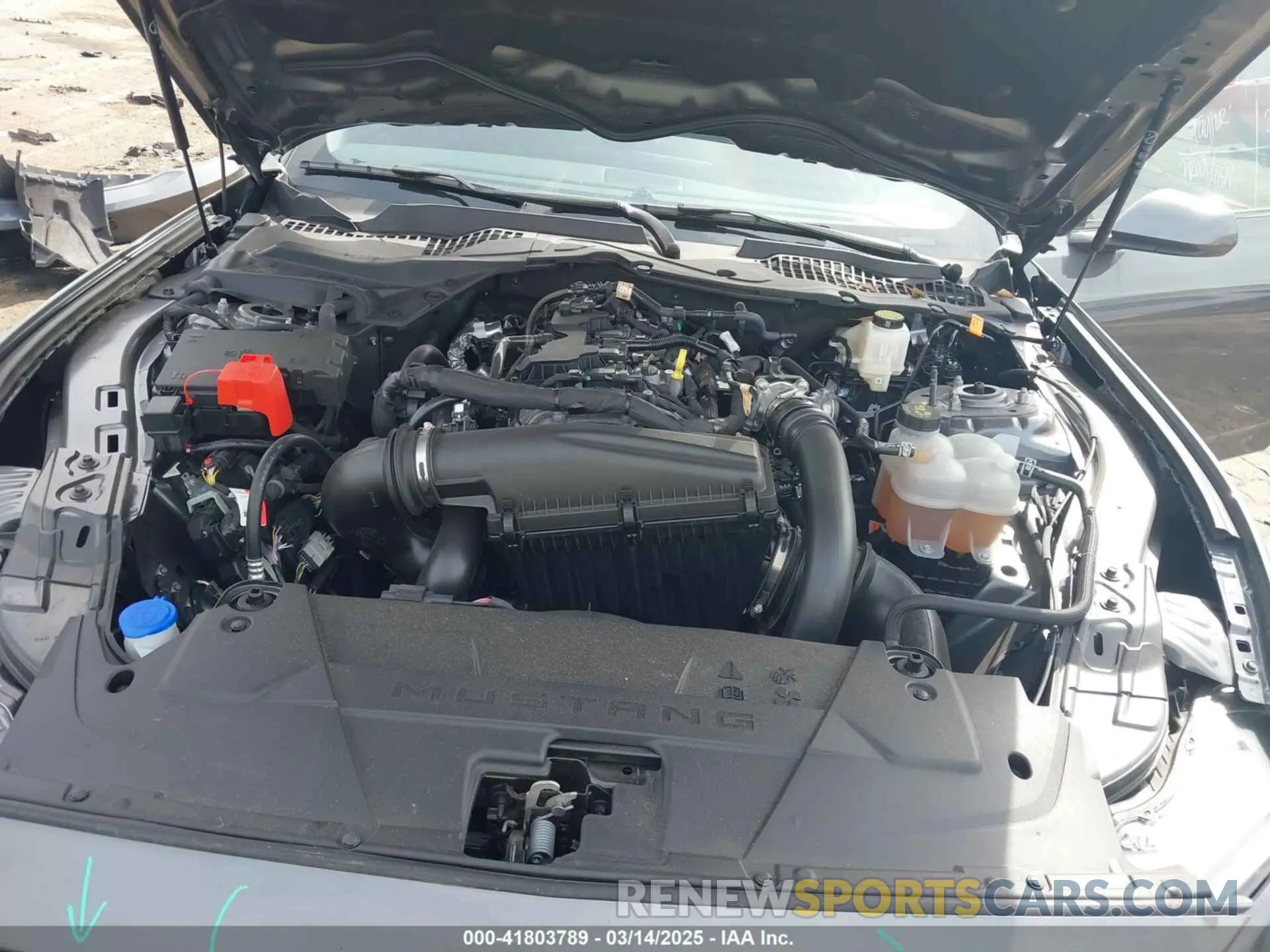 10 fotografías del automóvil dañado 1FA6P8TH6R5133406 FORD MUSTANG 2024