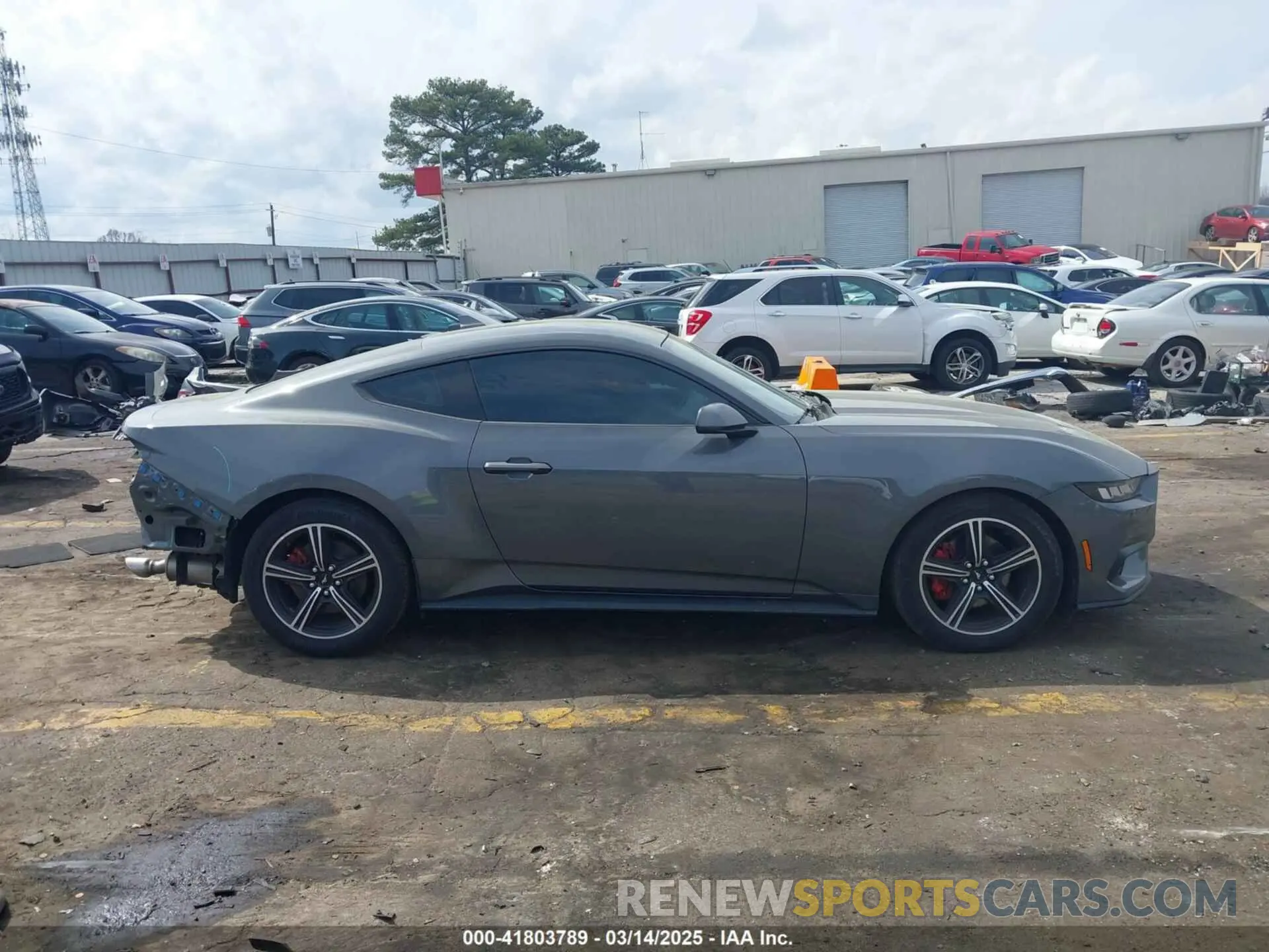14 fotografías del automóvil dañado 1FA6P8TH6R5133406 FORD MUSTANG 2024