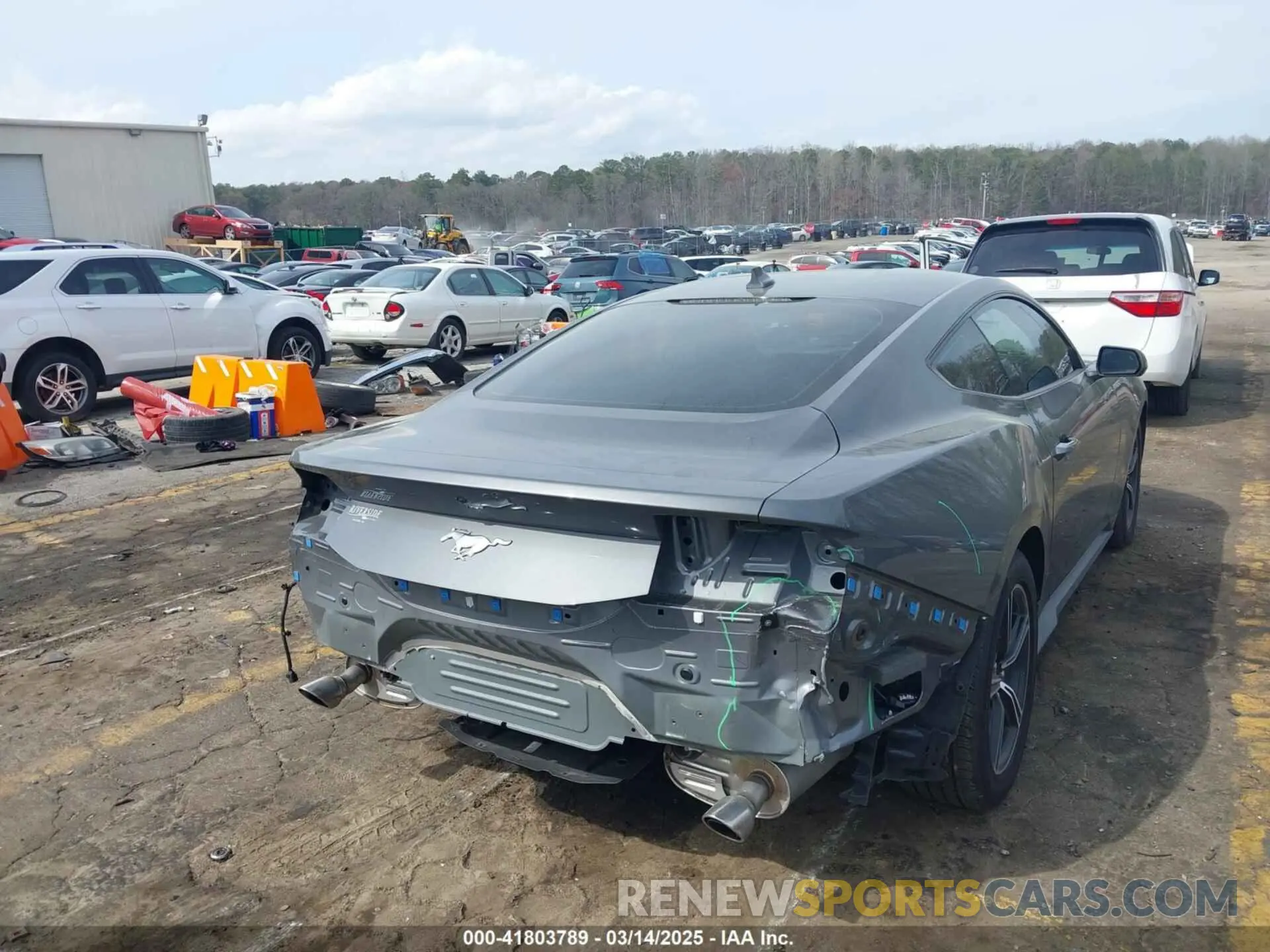 4 fotografías del automóvil dañado 1FA6P8TH6R5133406 FORD MUSTANG 2024