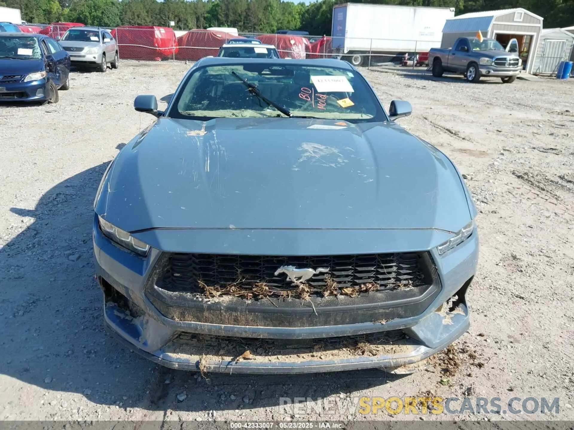 11 fotografías del automóvil dañado 1FA6P8TH7R5122432 FORD MUSTANG 2024
