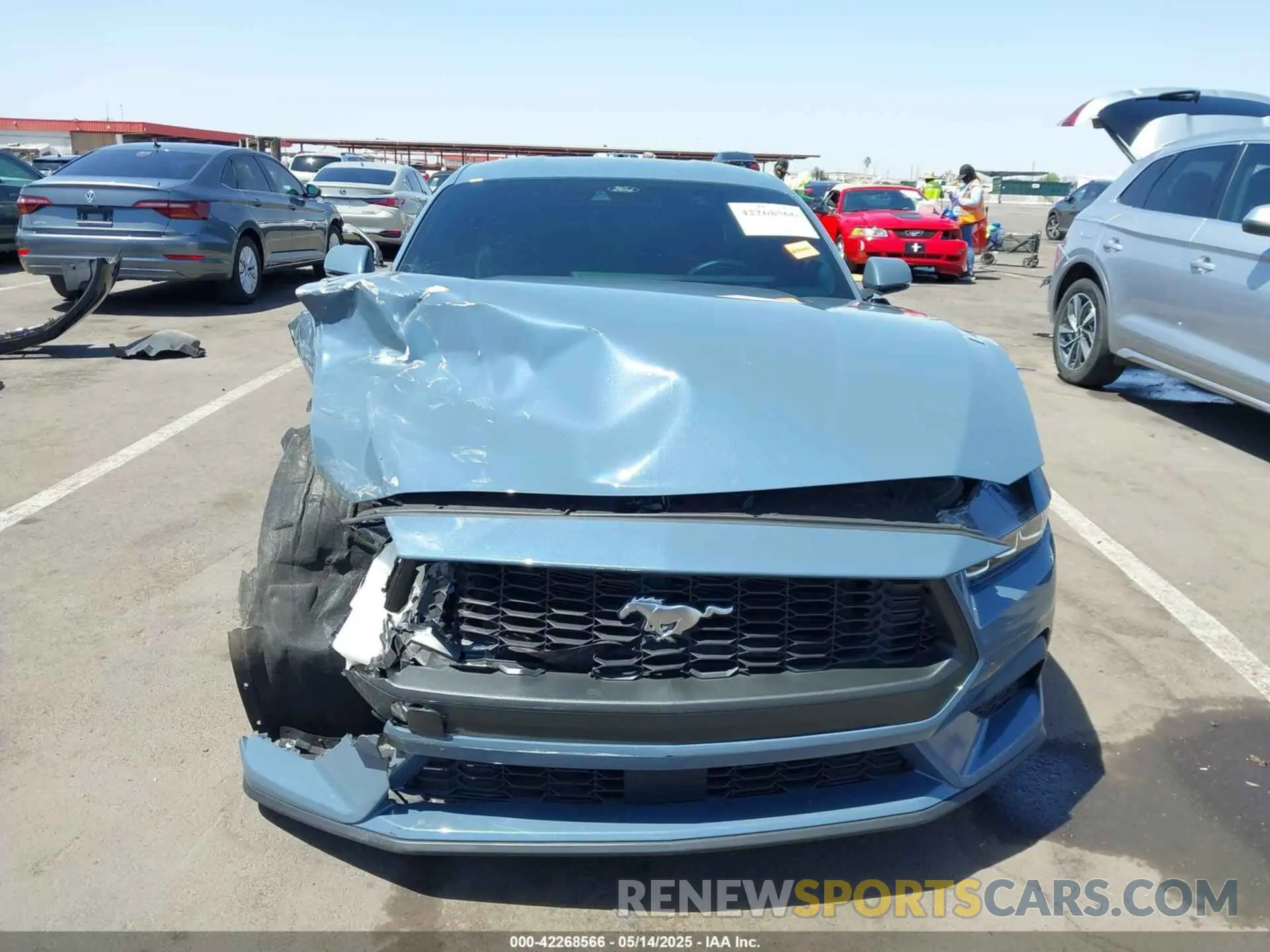 13 fotografías del automóvil dañado 1FA6P8THXR5140195 FORD MUSTANG 2024