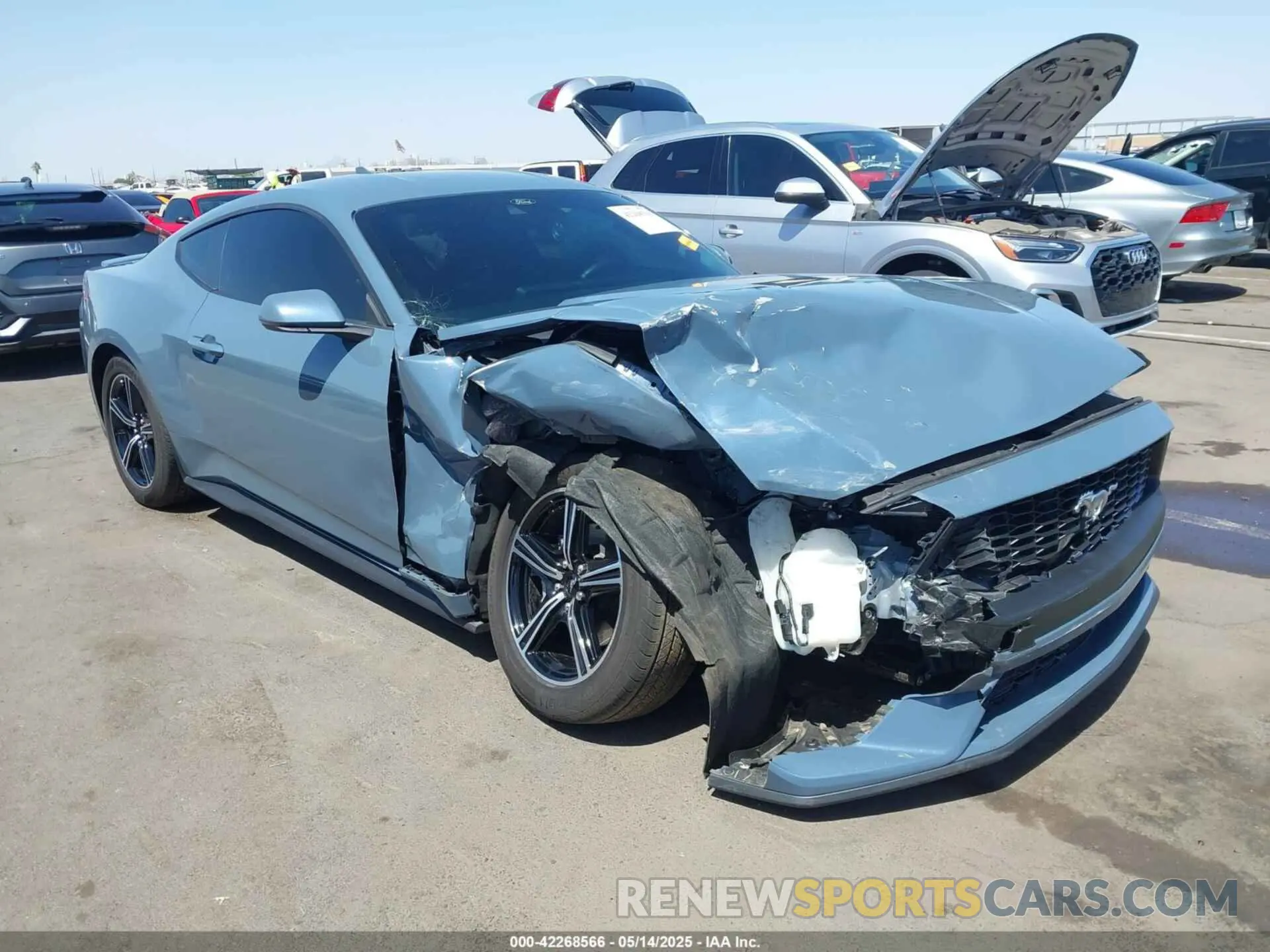 6 fotografías del automóvil dañado 1FA6P8THXR5140195 FORD MUSTANG 2024
