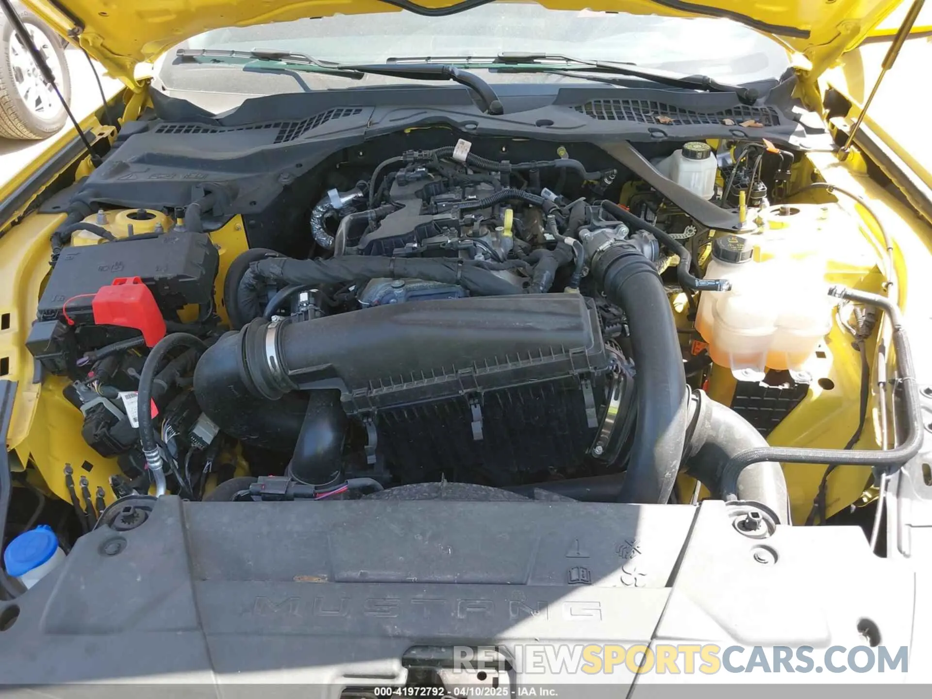 10 fotografías del automóvil dañado 1FAGP8UH1R5113020 FORD MUSTANG 2024