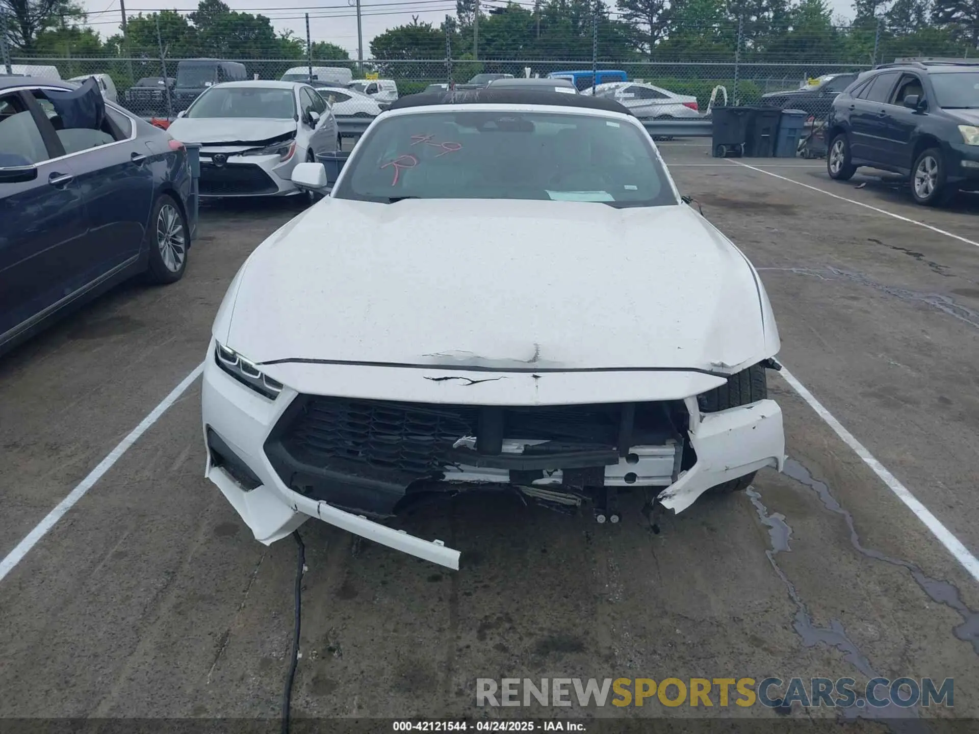13 fotografías del automóvil dañado 1FAGP8UH6R5126278 FORD MUSTANG 2024