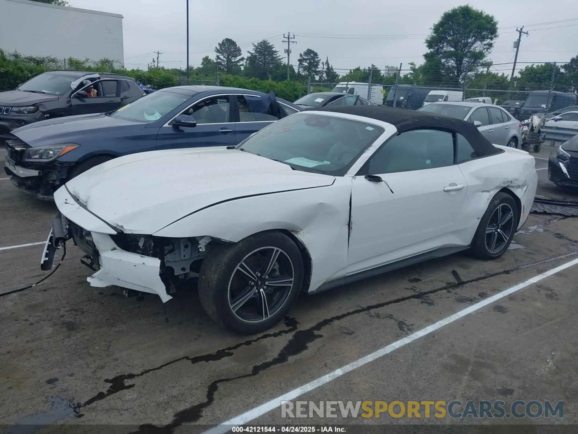 2 fotografías del automóvil dañado 1FAGP8UH6R5126278 FORD MUSTANG 2024