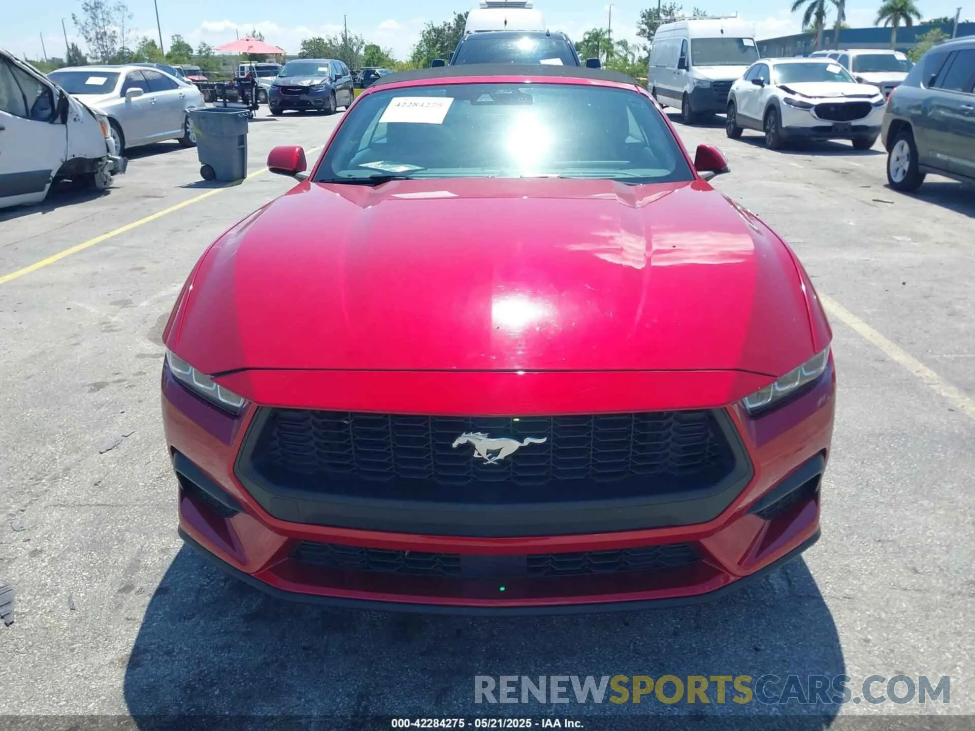 12 fotografías del automóvil dañado 1FAGP8UH9R5101942 FORD MUSTANG 2024