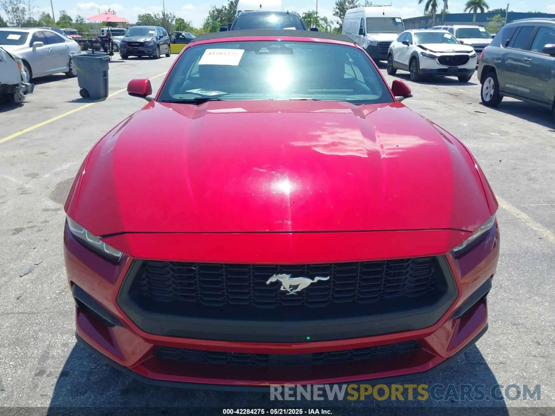 6 fotografías del automóvil dañado 1FAGP8UH9R5101942 FORD MUSTANG 2024