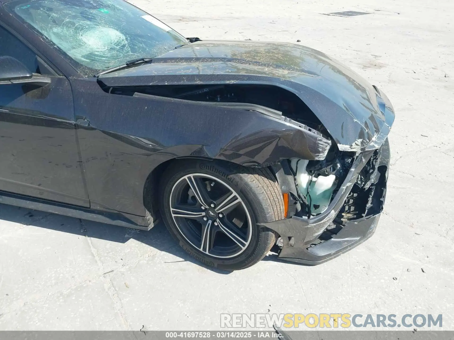 19 fotografías del automóvil dañado 1FAGP8UH9R5112553 FORD MUSTANG 2024