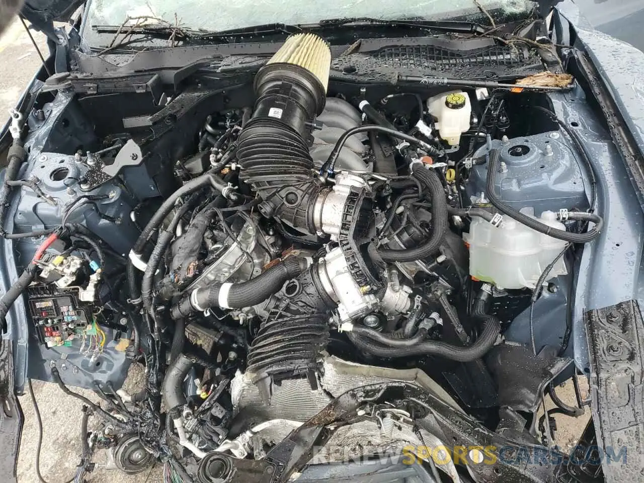 12 fotografías del automóvil dañado 1FA6P8CF1S5409334 FORD MUSTANG 2025