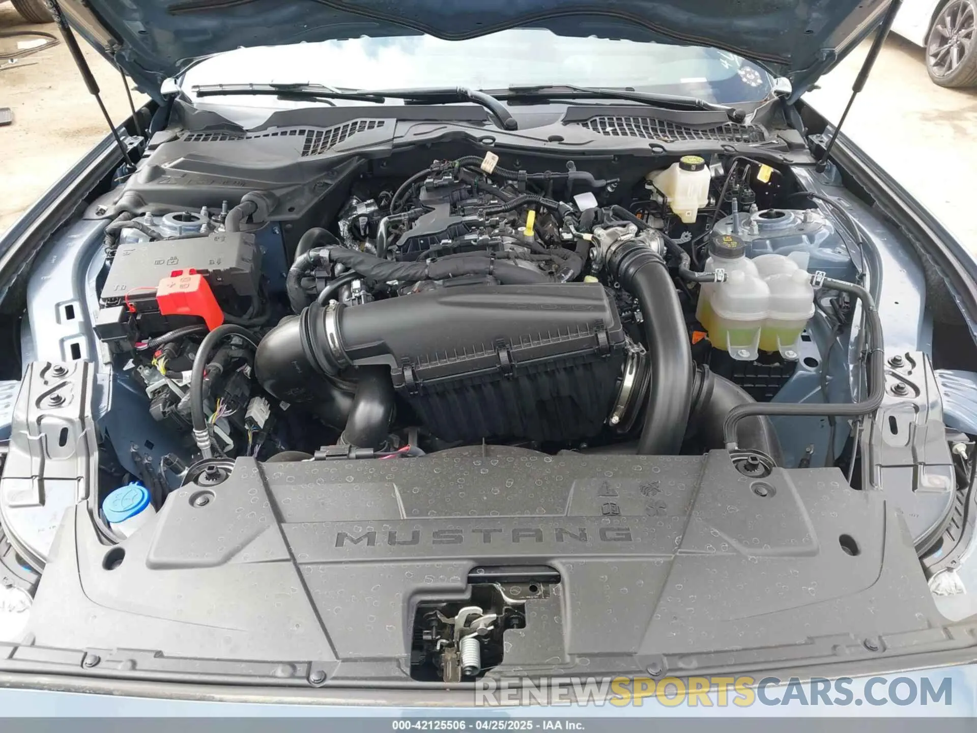 10 fotografías del automóvil dañado 1FA6P8TH8S5101594 FORD MUSTANG 2025