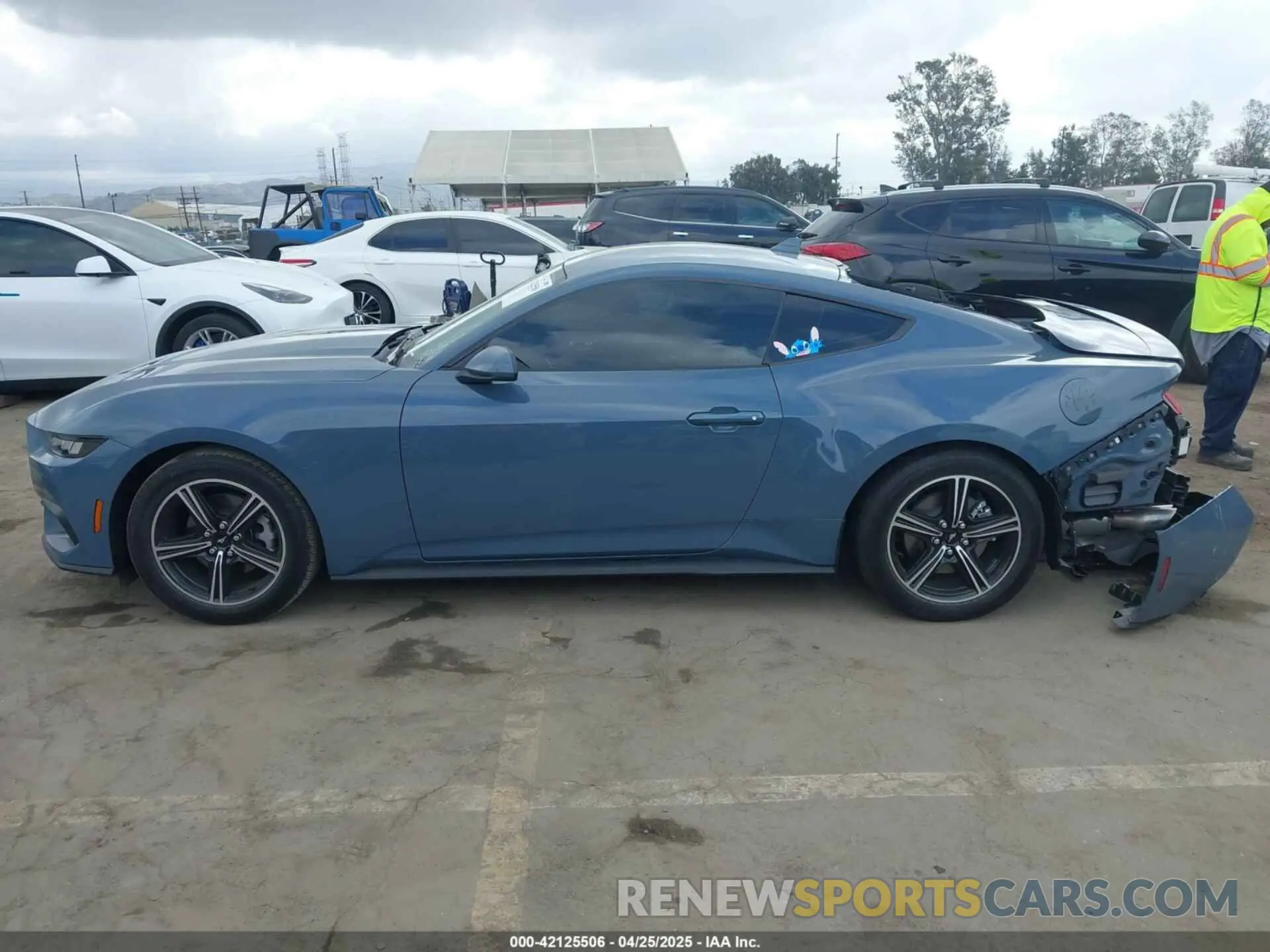 13 fotografías del automóvil dañado 1FA6P8TH8S5101594 FORD MUSTANG 2025