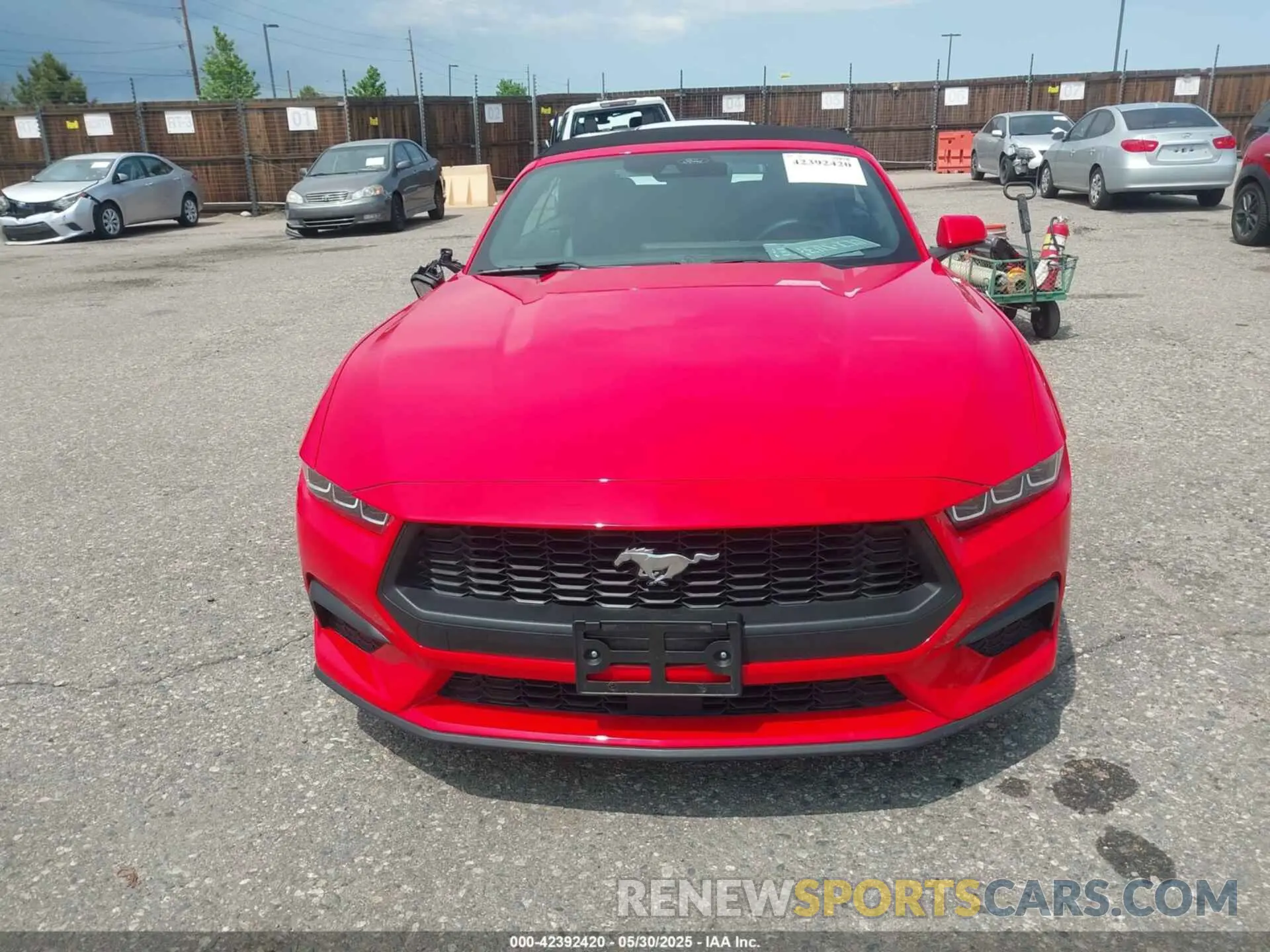12 fotografías del automóvil dañado 1FAGP8UH4S5105130 FORD MUSTANG 2025