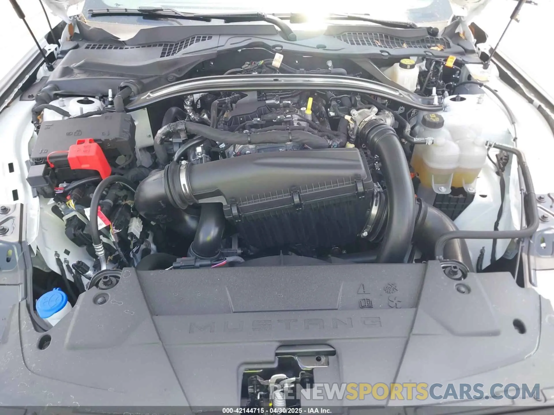 10 fotografías del automóvil dañado 1FAGP8UH4S5105984 FORD MUSTANG 2025