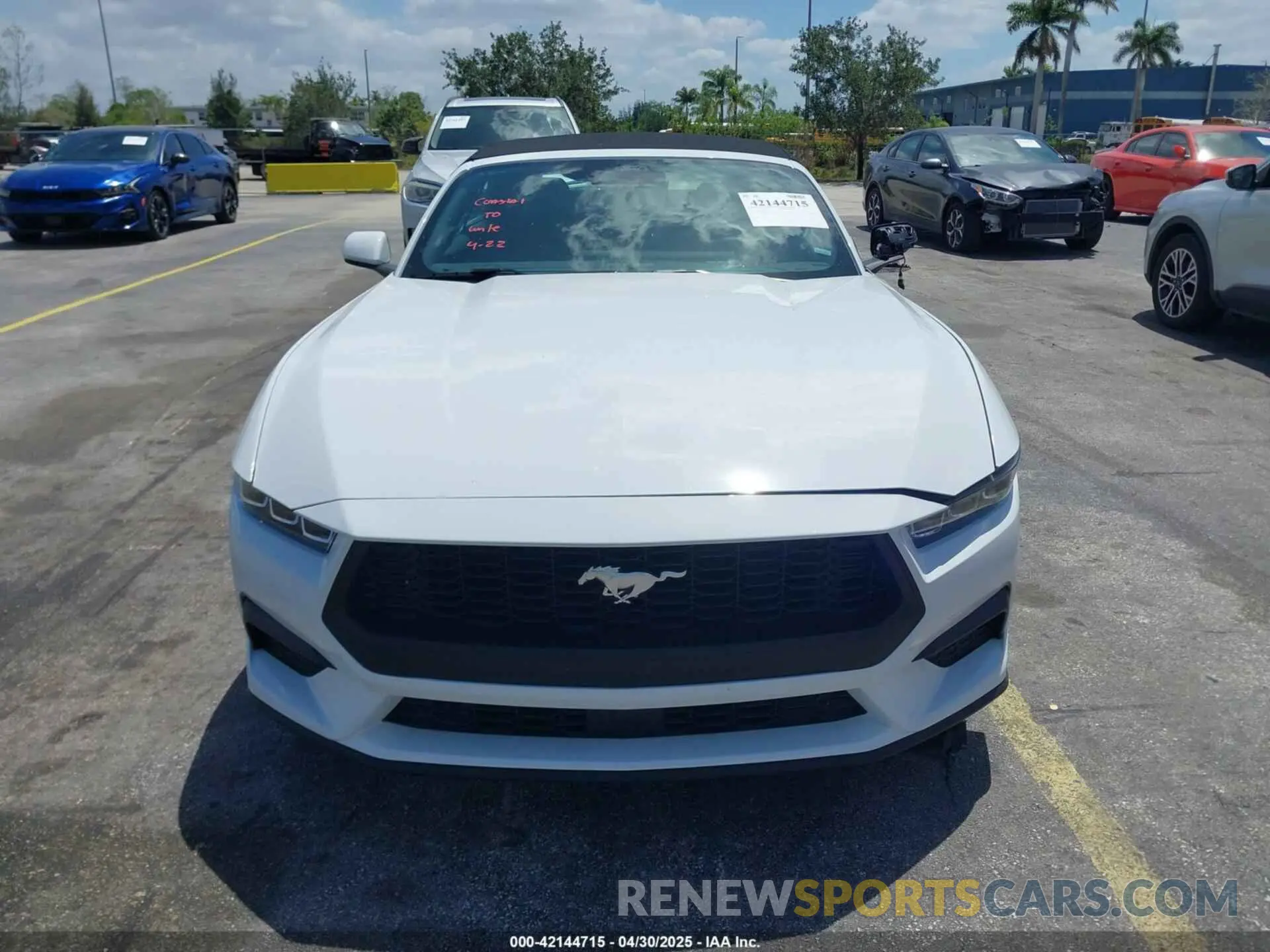 12 fotografías del automóvil dañado 1FAGP8UH4S5105984 FORD MUSTANG 2025