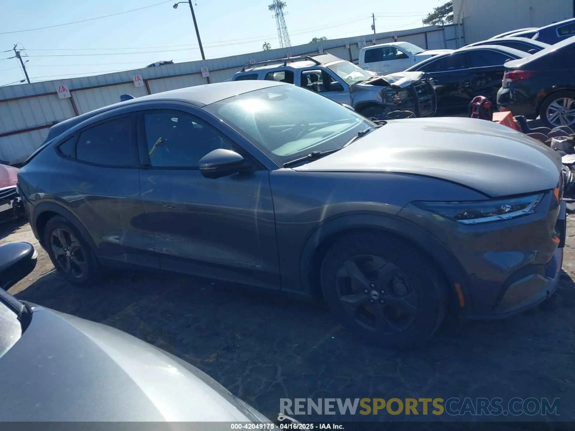 13 fotografías del automóvil dañado 3FMTK1SS2MMA18591 FORD MUSTANG MACH-E 2021