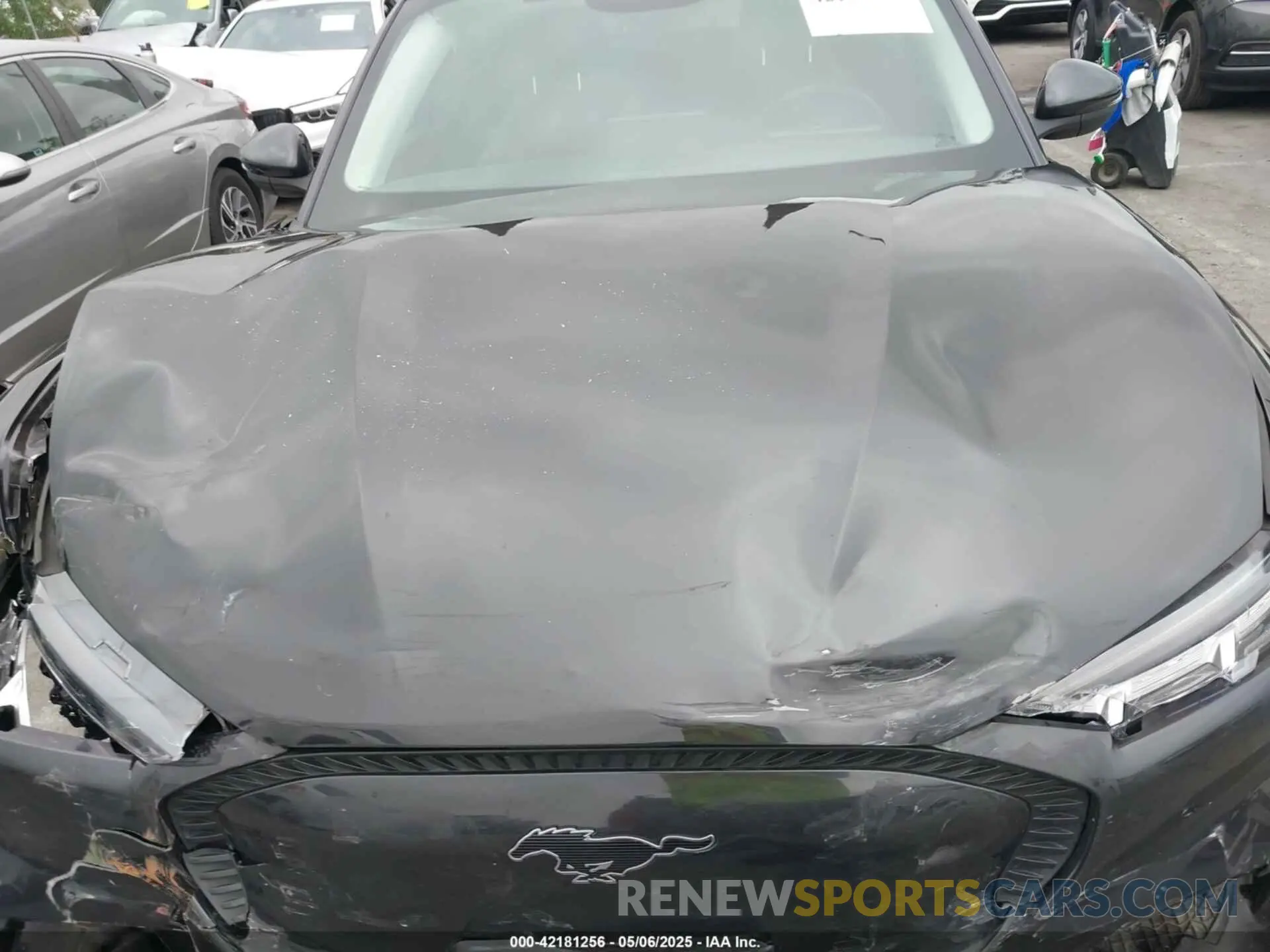 10 fotografías del automóvil dañado 3FMTK1RM3NMA25588 FORD MUSTANG MACH-E 2022
