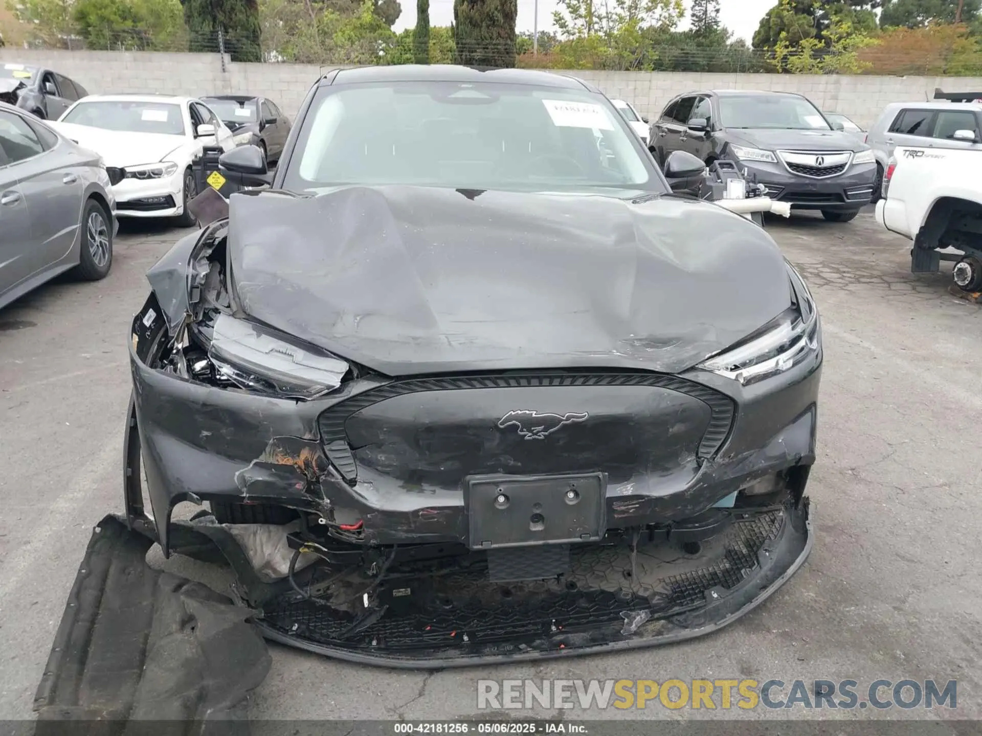 12 fotografías del automóvil dañado 3FMTK1RM3NMA25588 FORD MUSTANG MACH-E 2022