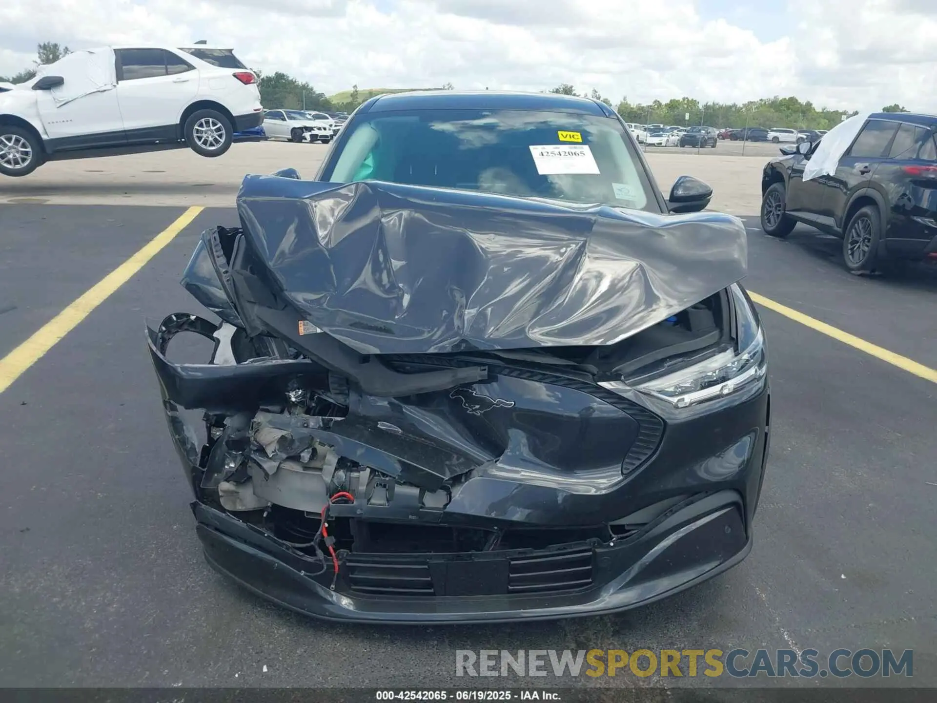 12 fotografías del automóvil dañado 3FMTK1RM4NMA41461 FORD MUSTANG MACH-E 2022