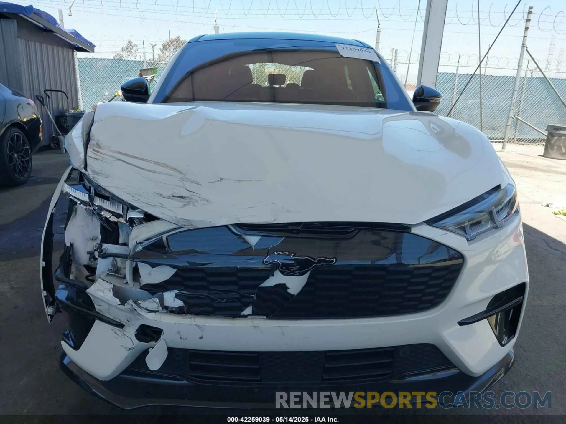 12 fotografías del automóvil dañado 3FMTK4SEXPMA16880 FORD MUSTANG MACH-E 2023