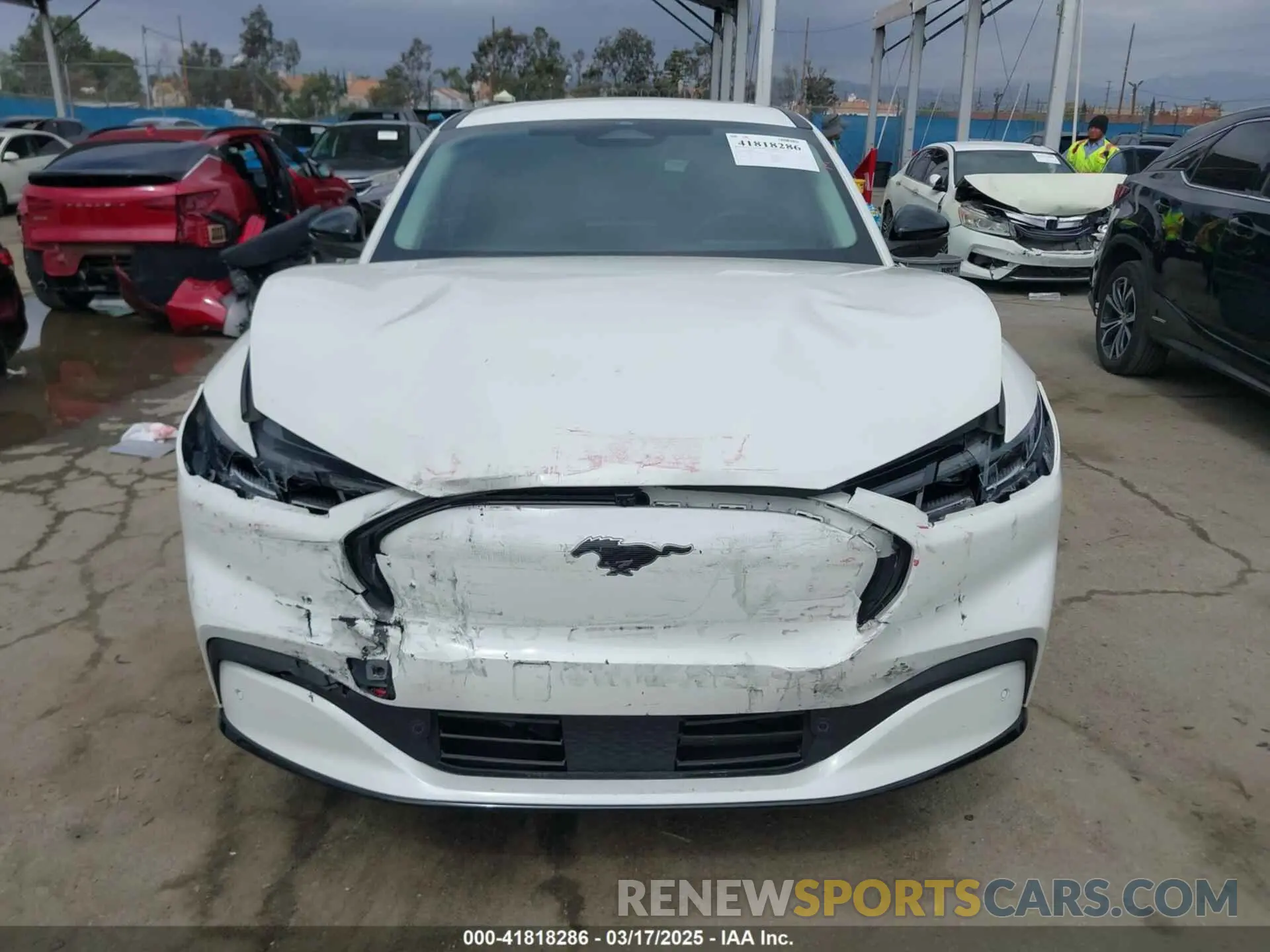 12 fotografías del automóvil dañado 3FMTK3R48RMA01496 FORD MUSTANG MACH-E 2024