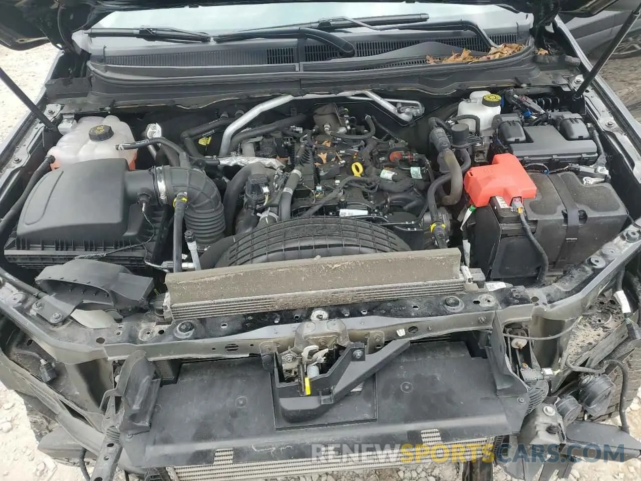 11 fotografías del automóvil dañado 1FTER1FH3KLA54117 FORD RANGER 2019
