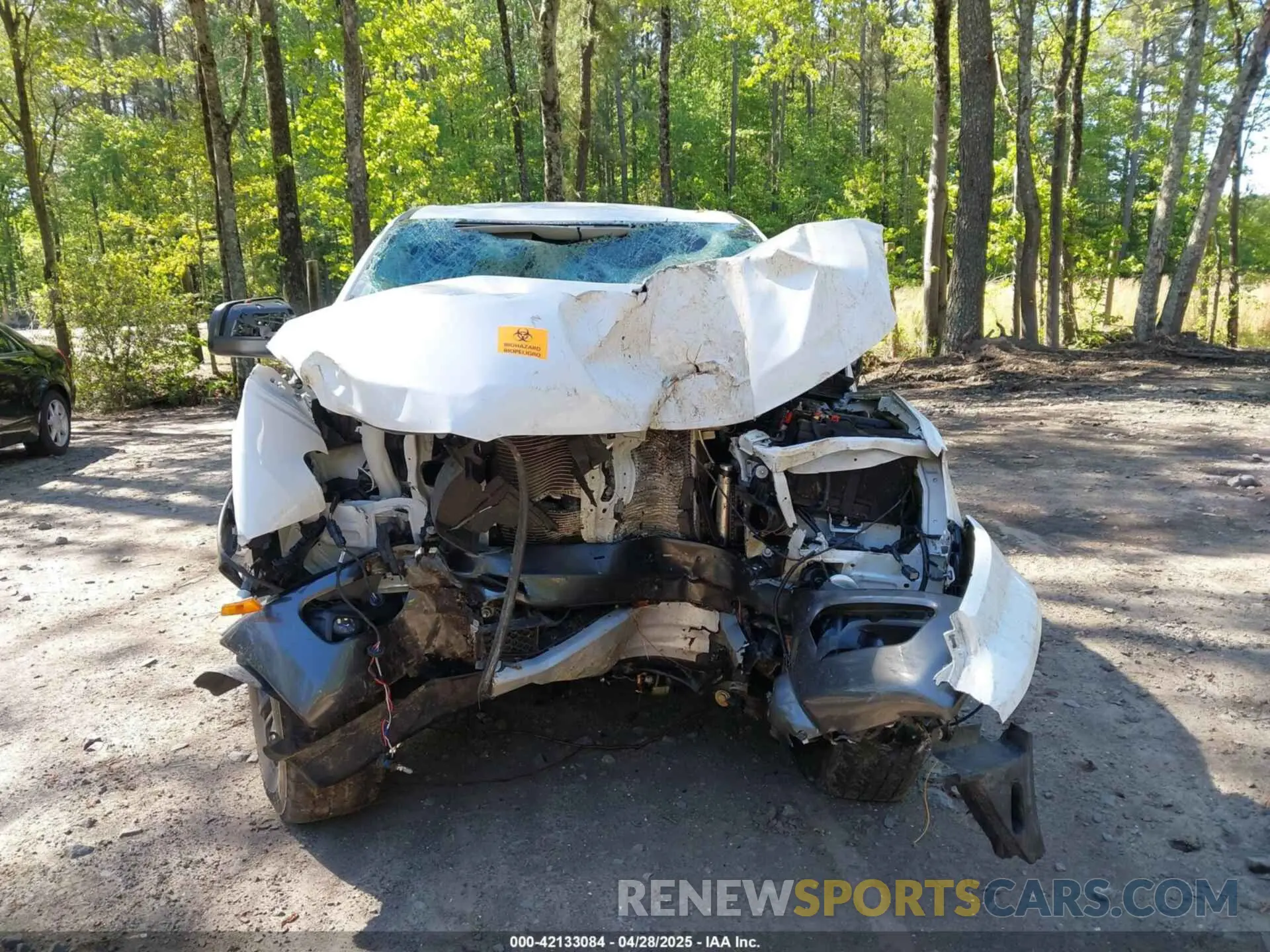 12 fotografías del automóvil dañado 1FTER4FH8PLE17939 FORD RANGER 2023