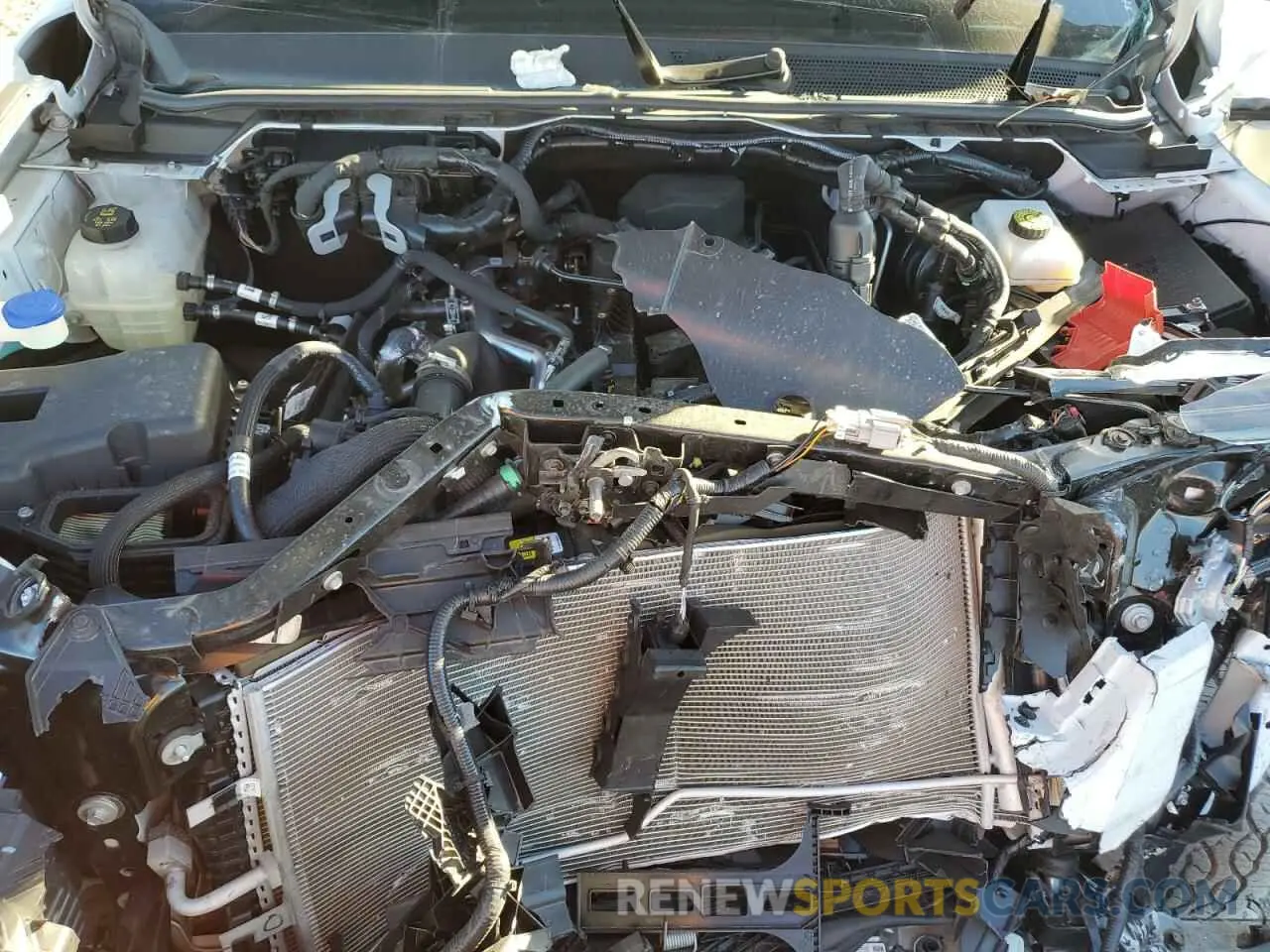 11 fotografías del automóvil dañado 1FTER4BH3RLE16271 FORD RANGER 2024