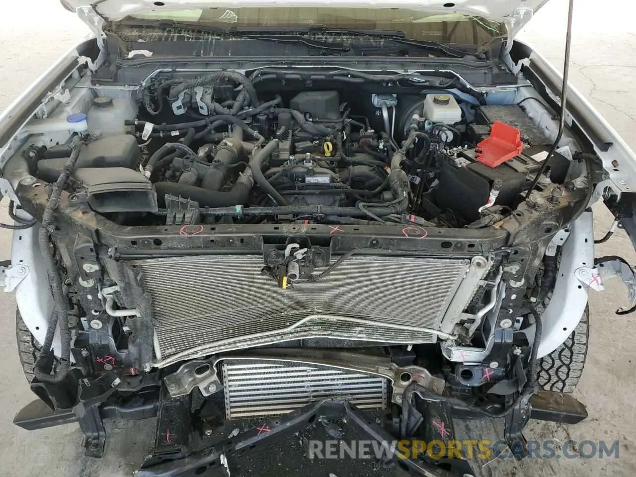 13 fotografías del automóvil dañado 1FTER4BH9RLE60680 FORD RANGER 2024