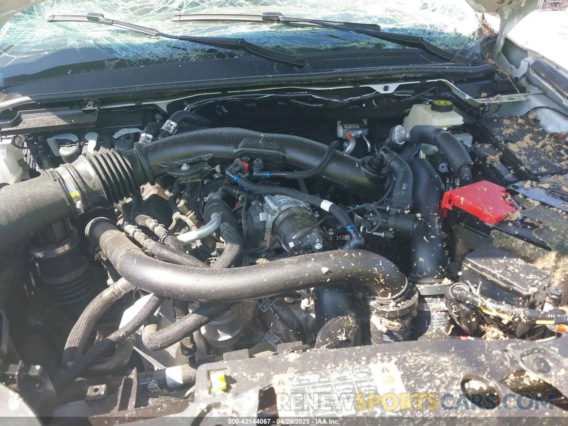 10 fotografías del automóvil dañado 1FTER4LR8RLE48320 FORD RANGER 2024