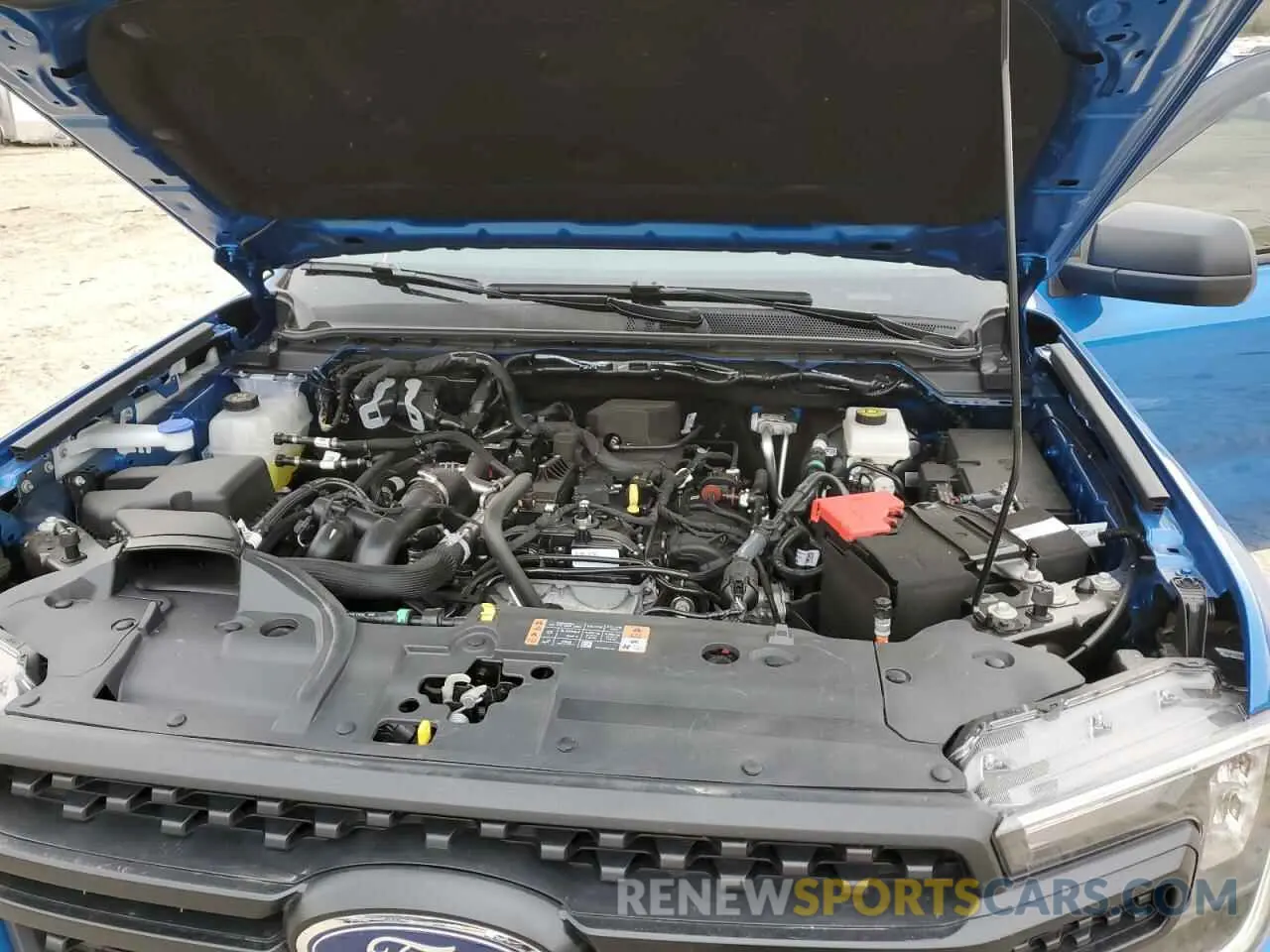 11 fotografías del automóvil dañado 1FTER4PH3RLE01522 FORD RANGER 2024