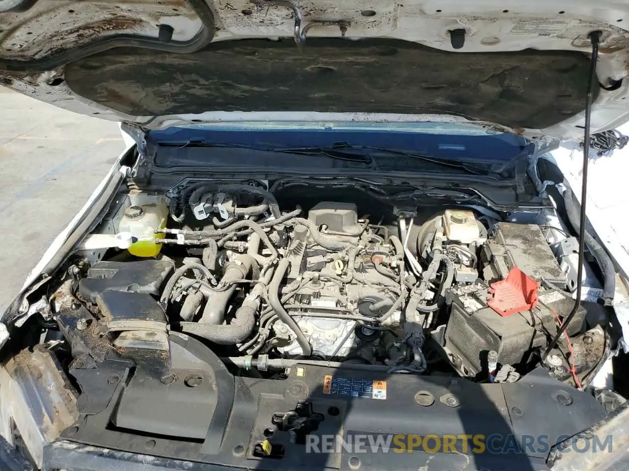 11 fotografías del automóvil dañado 1FTER4PH4RLE25246 FORD RANGER 2024
