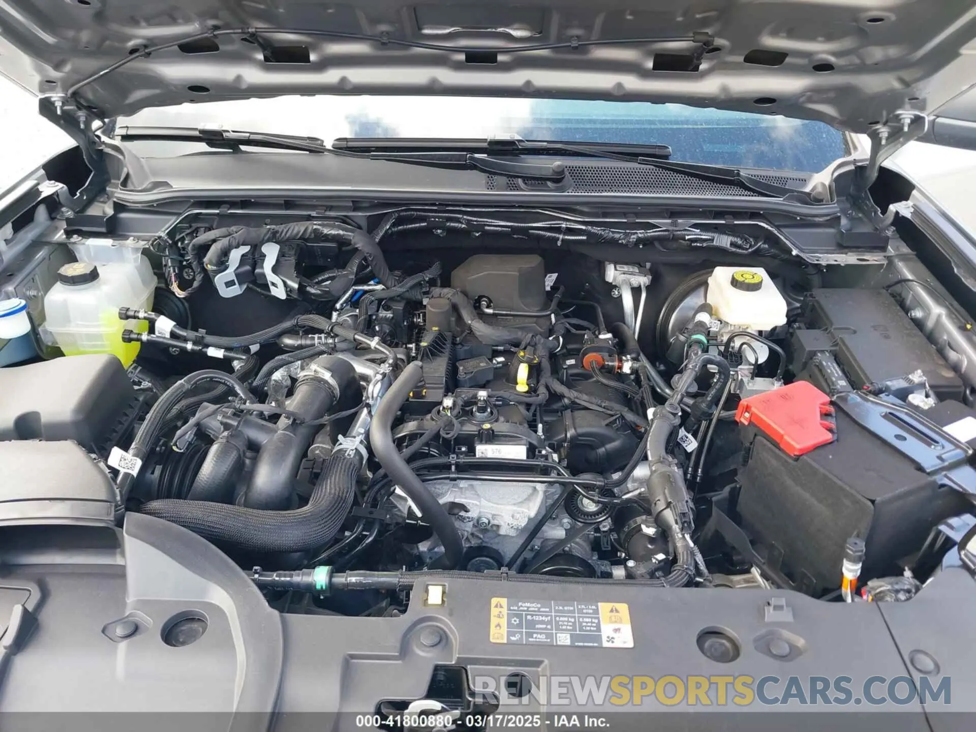 10 fotografías del automóvil dañado 1FTER4PH5RLE67862 FORD RANGER 2024