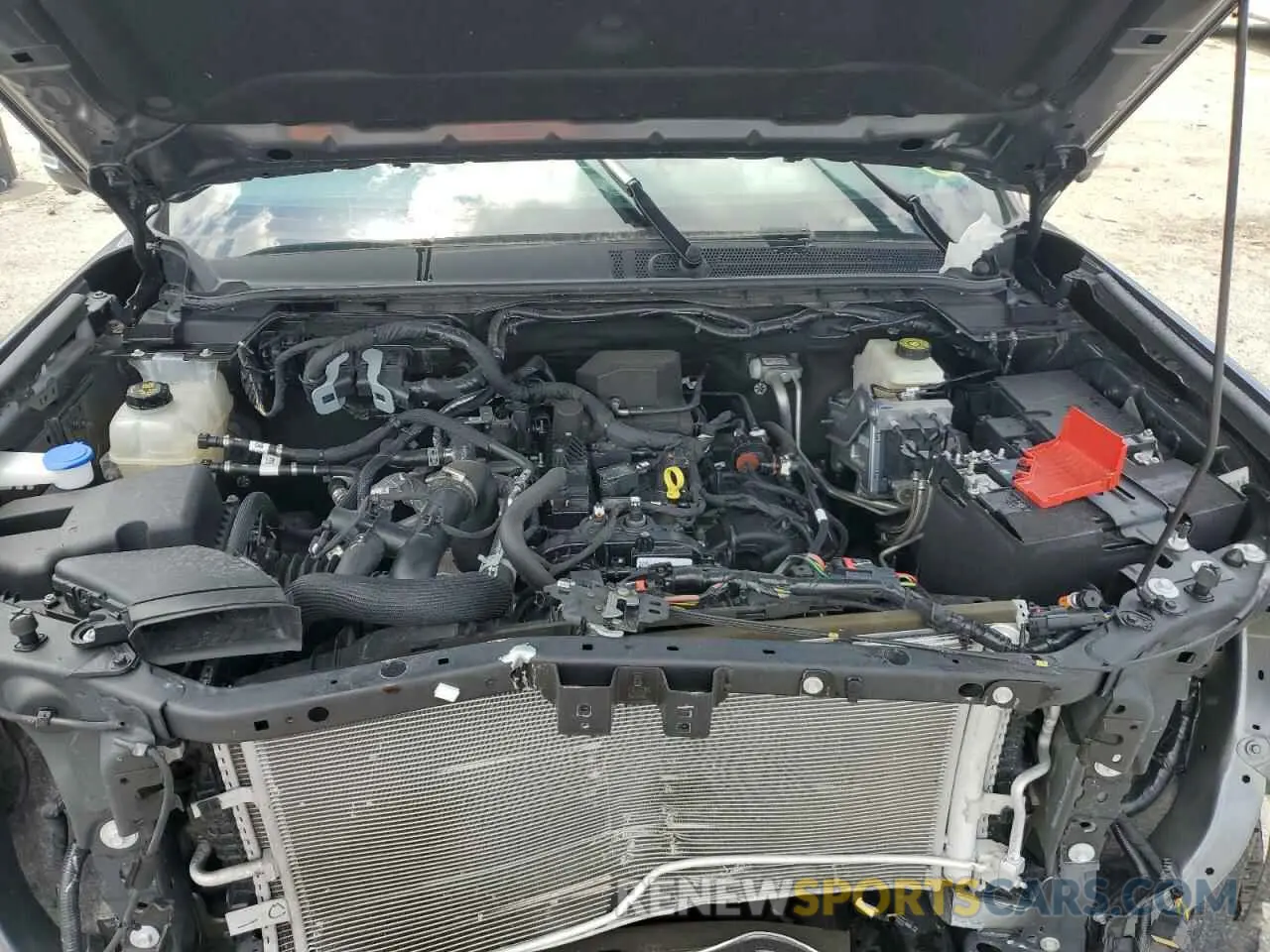 11 fotografías del automóvil dañado 1FTER4KH3RLE10731 FORD RANGER LAR 2024