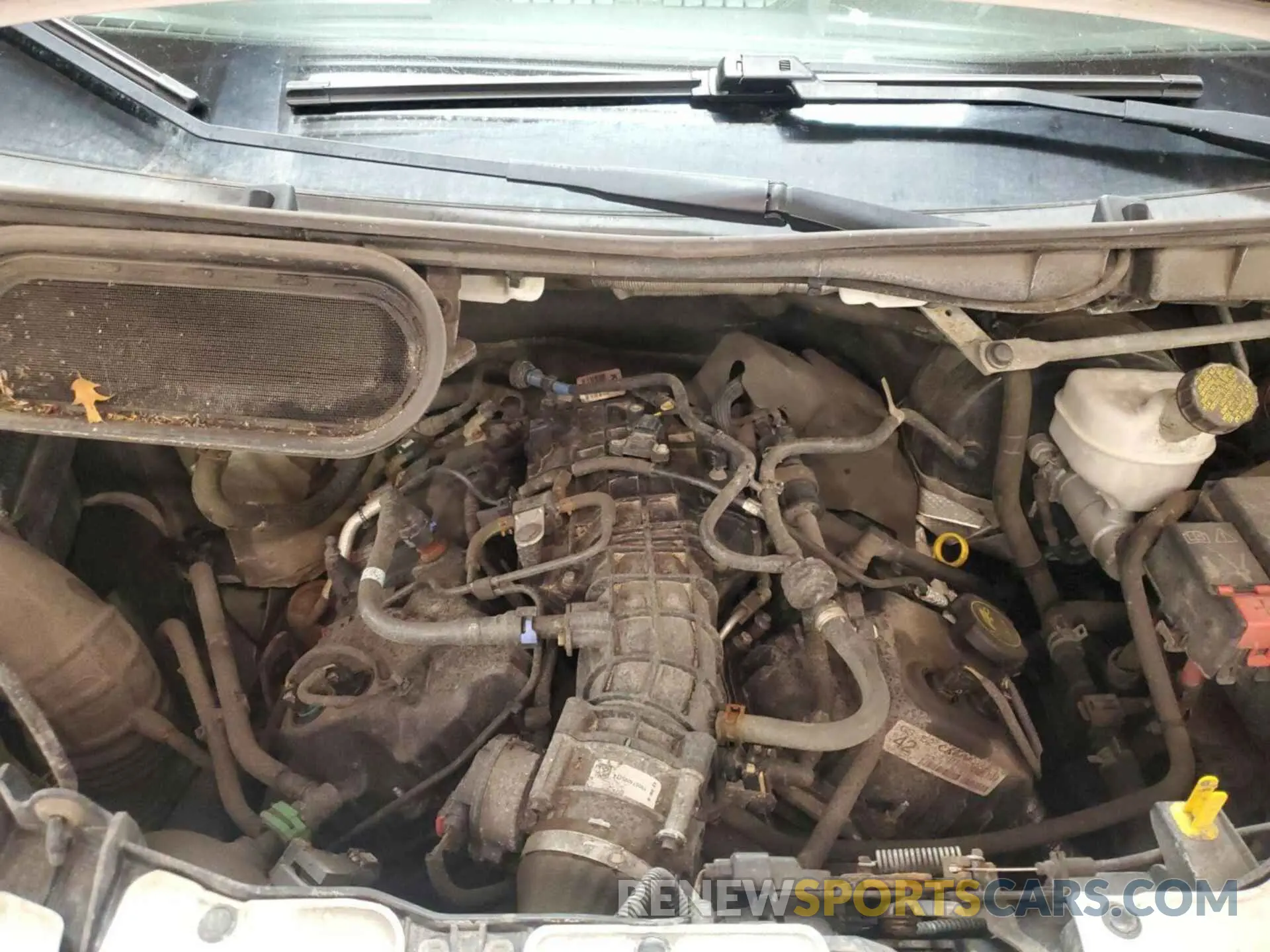 32 fotografías del automóvil dañado 1FTBW3XG4KKA67980 FORD TRANSIT 2019