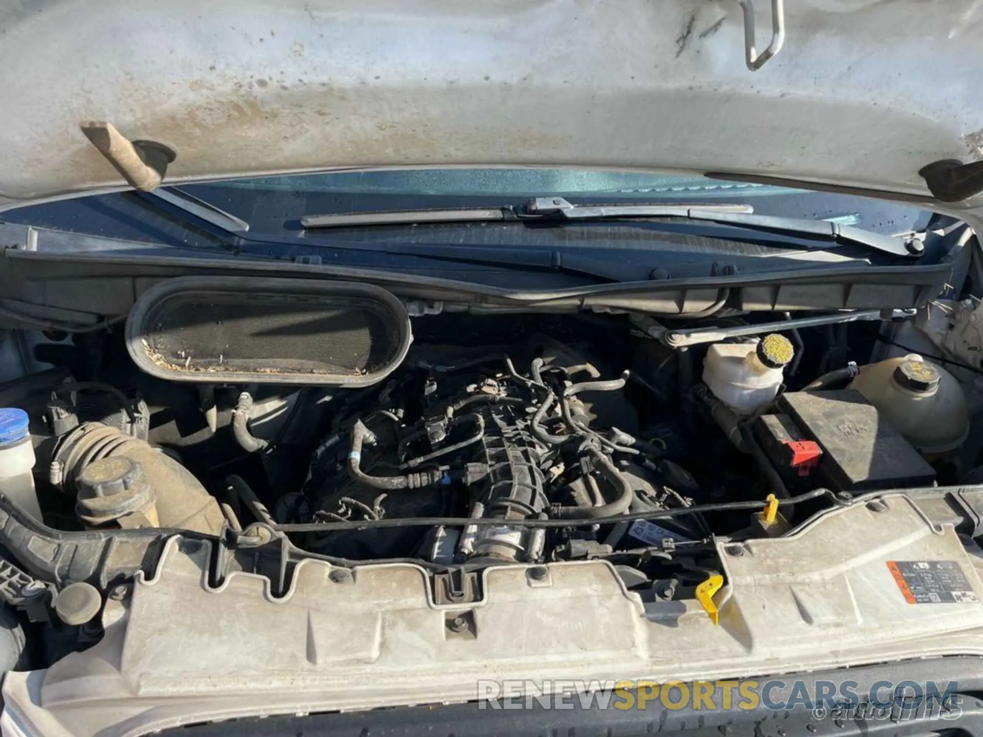 12 fotografías del automóvil dañado 1FTYR1YG1KKB48276 FORD TRANSIT 2019