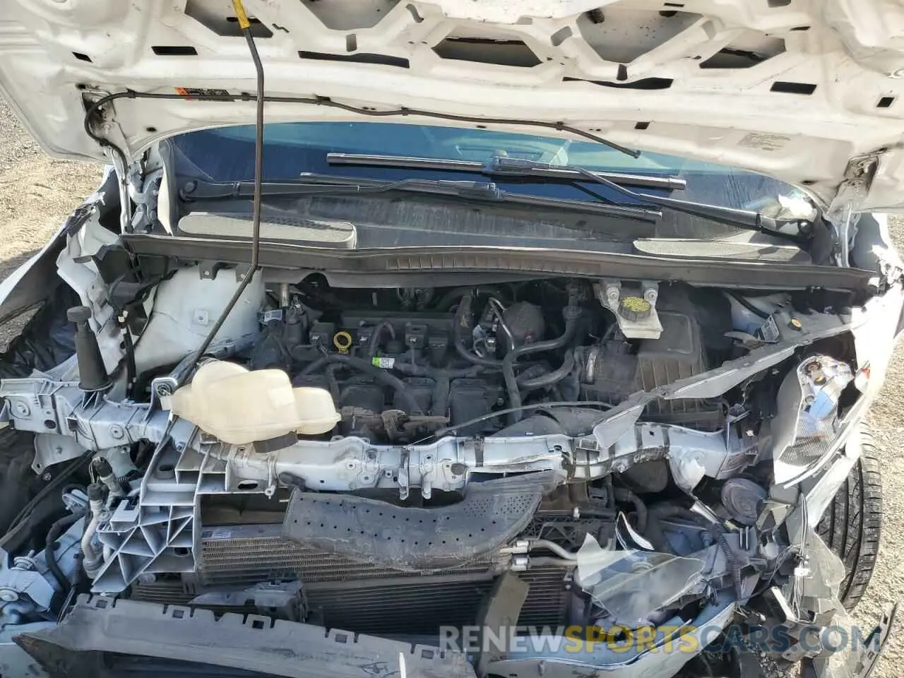 12 fotografías del automóvil dañado NM0LE6E22K1387821 FORD TRANSIT 2019