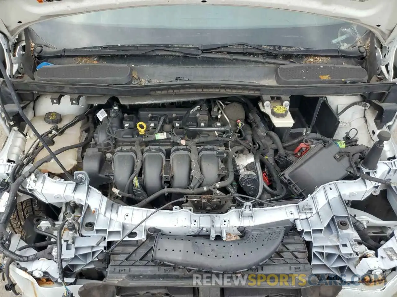12 fotografías del automóvil dañado NM0LS7E21K1384150 FORD TRANSIT 2019