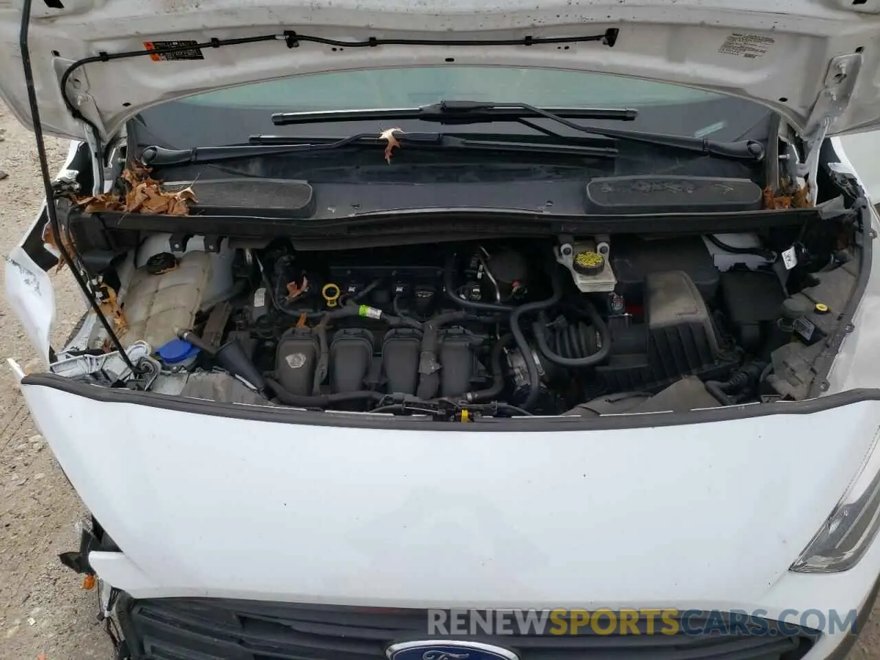 13 fotografías del automóvil dañado NM0LS7E21K1406938 FORD TRANSIT 2019