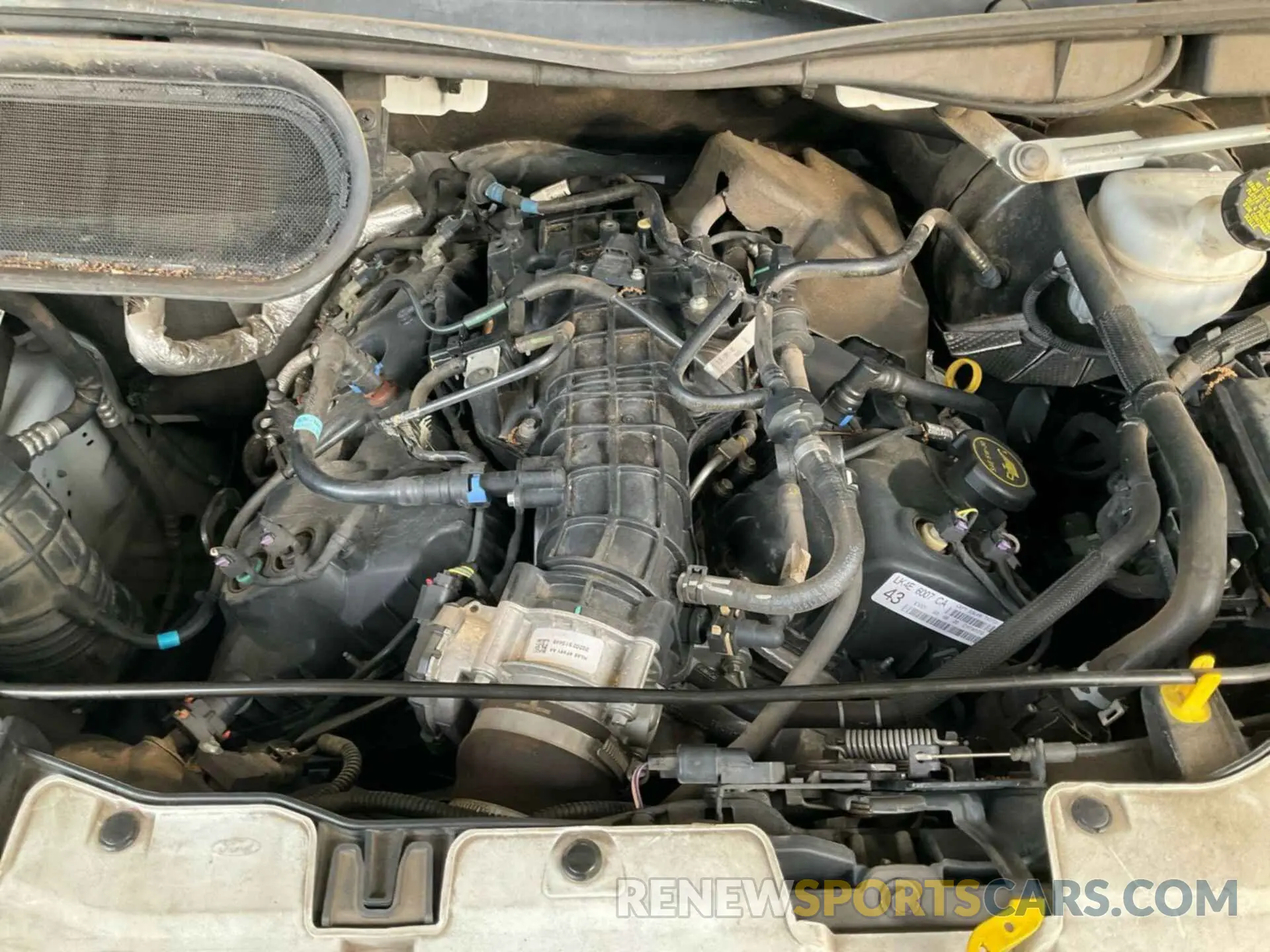 26 fotografías del automóvil dañado 1FTBR2YG8LKB18804 FORD TRANSIT 2020
