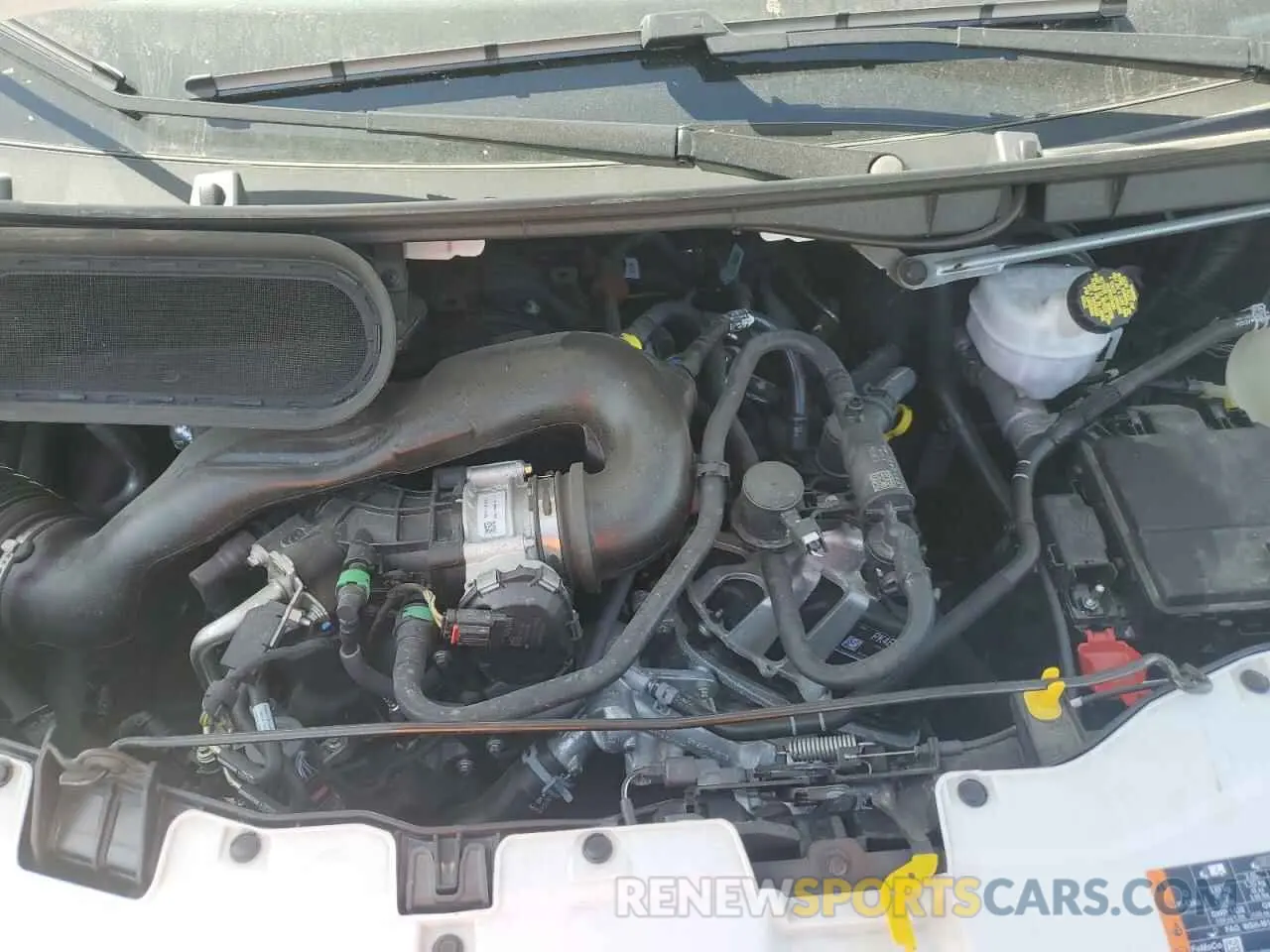 12 fotografías del automóvil dañado 1FTYE1Y83RKA09653 FORD TRANSIT 2024