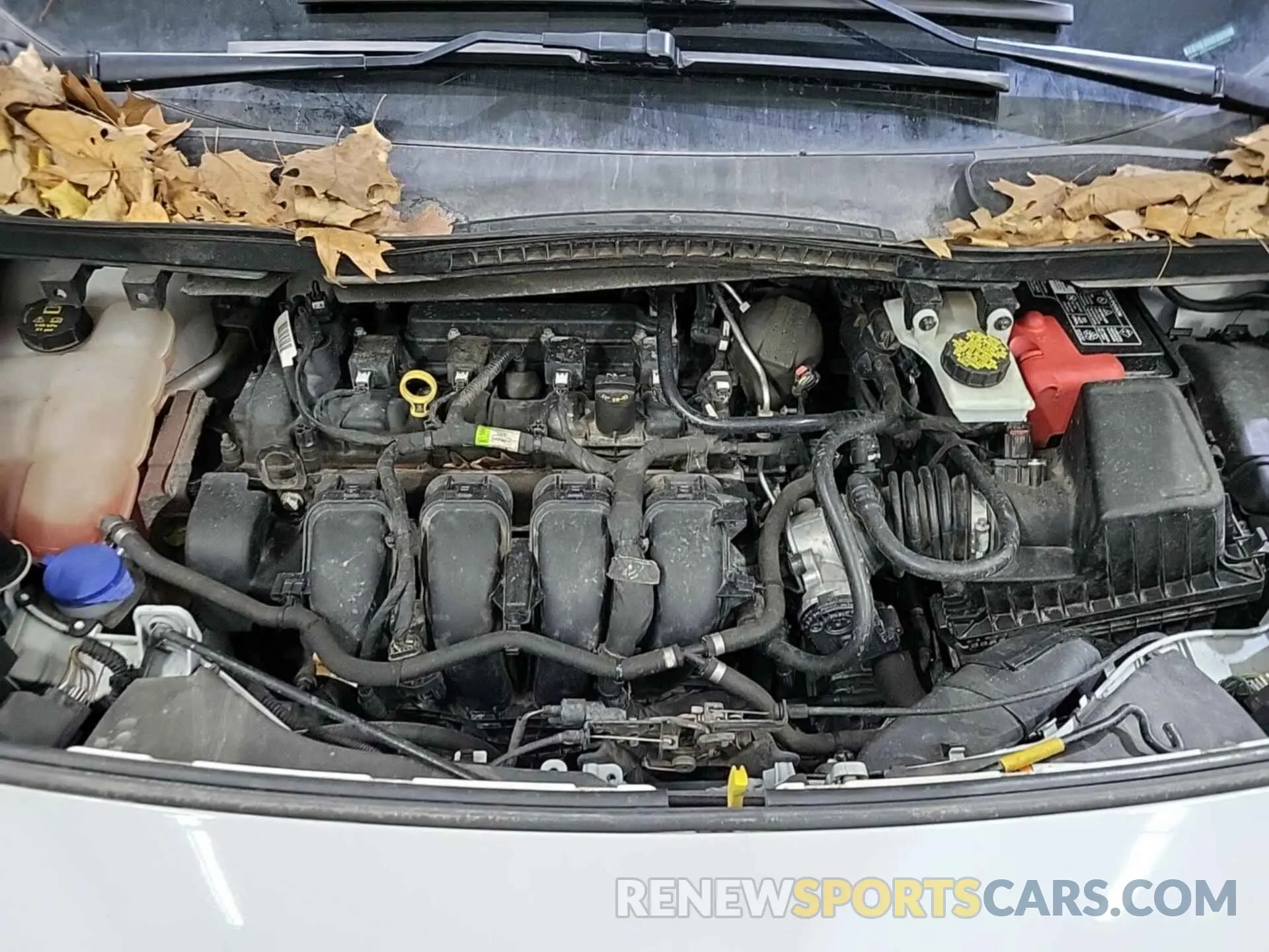 8 fotografías del automóvil dañado NM0LS7E22K1392242 FORD TRANSIT CONNECT 2019