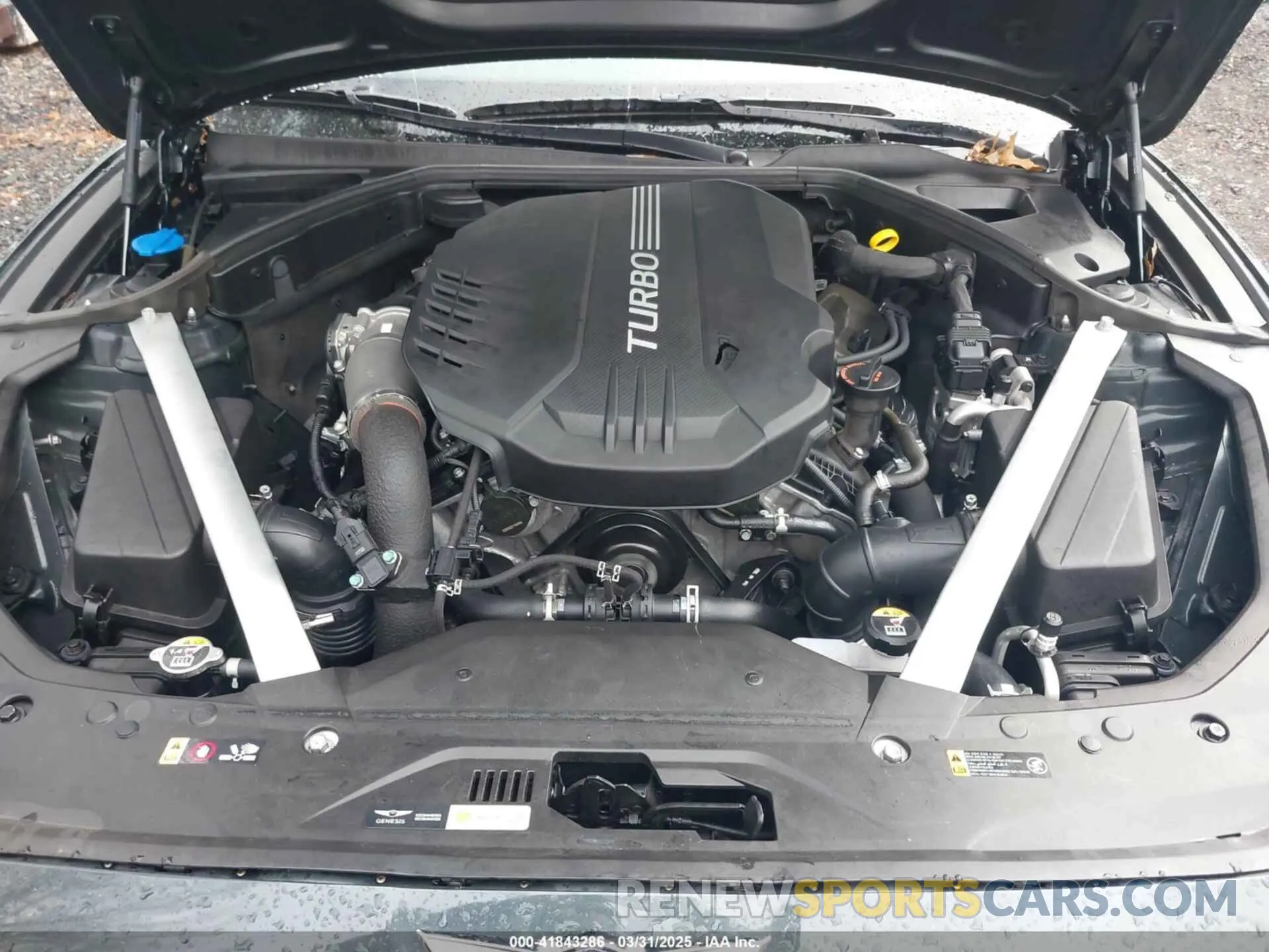 10 fotografías del automóvil dañado KMTG54TE6PU113485 GENESIS G70 2023