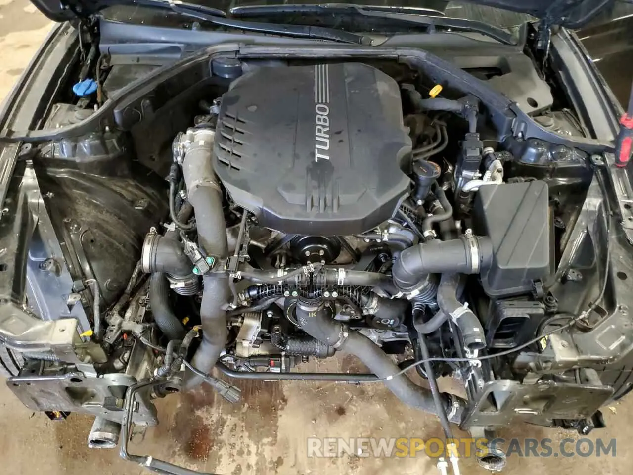 11 fotografías del automóvil dañado KMTG54TE5NU100899 GENESIS G70 BASE 2022