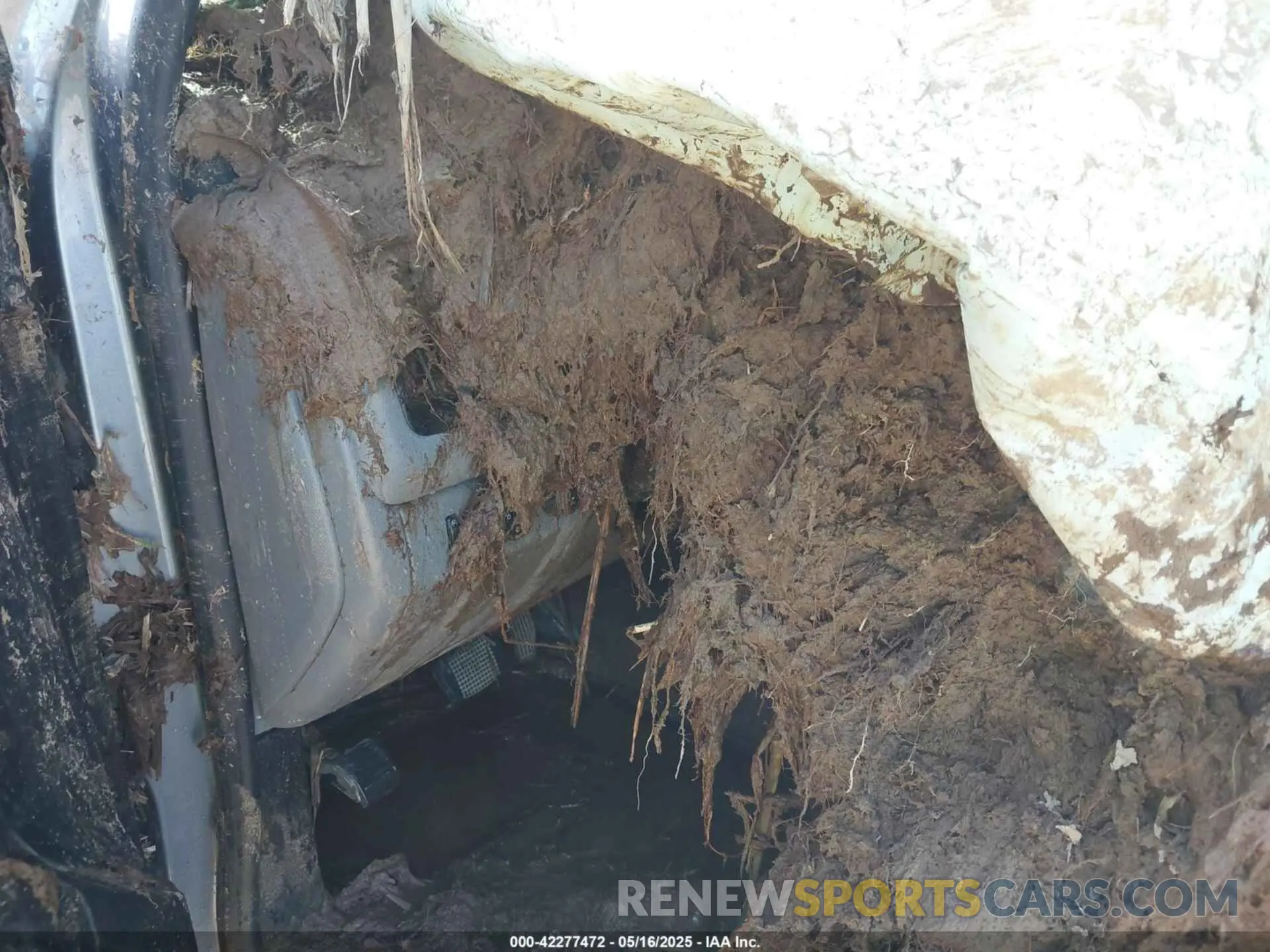 14 fotografías del automóvil dañado 1GTH6BEN2M1216465 GMC CANYON 2021
