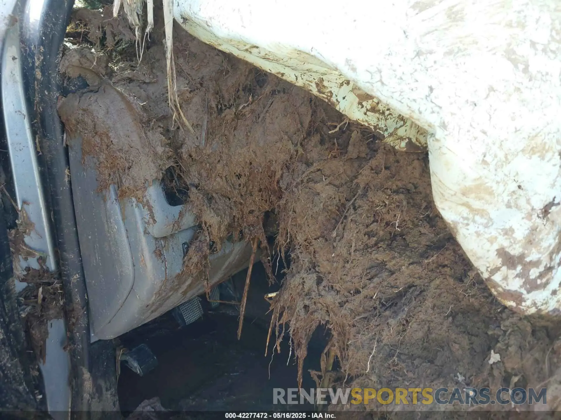 7 fotografías del automóvil dañado 1GTH6BEN2M1216465 GMC CANYON 2021