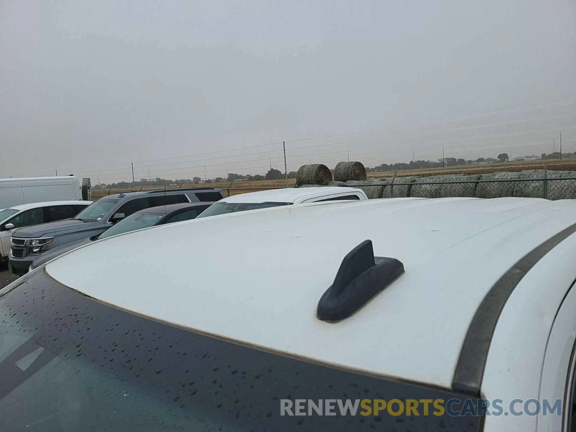 12 fotografías del automóvil dañado 1GTU9BED4KZ369893 GMC SIERRA 2019