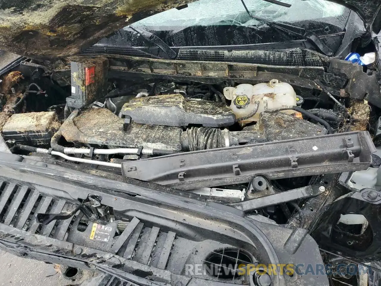 11 fotografías del automóvil dañado 1GTPUCEK1PZ117218 GMC SIERRA 2023