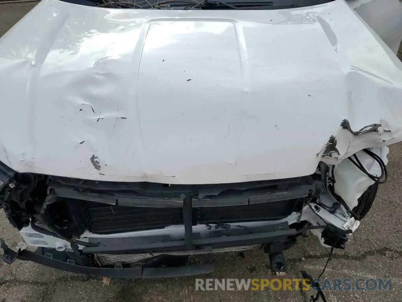 12 fotografías del automóvil dañado 3GKALTEG2PL186113 GMC TERRAIN 2023