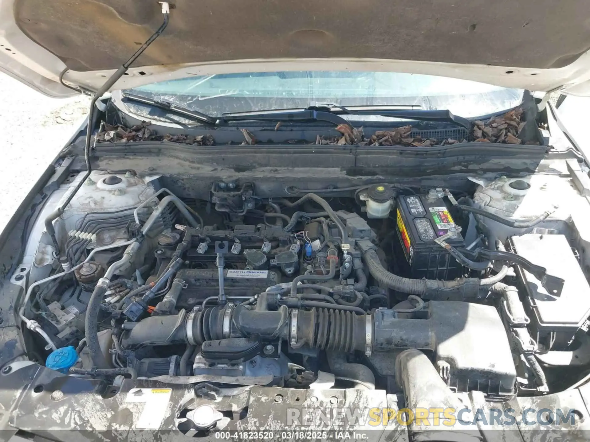 10 fotografías del automóvil dañado 1HGCV1F12KA117517 HONDA ACCORD 2019