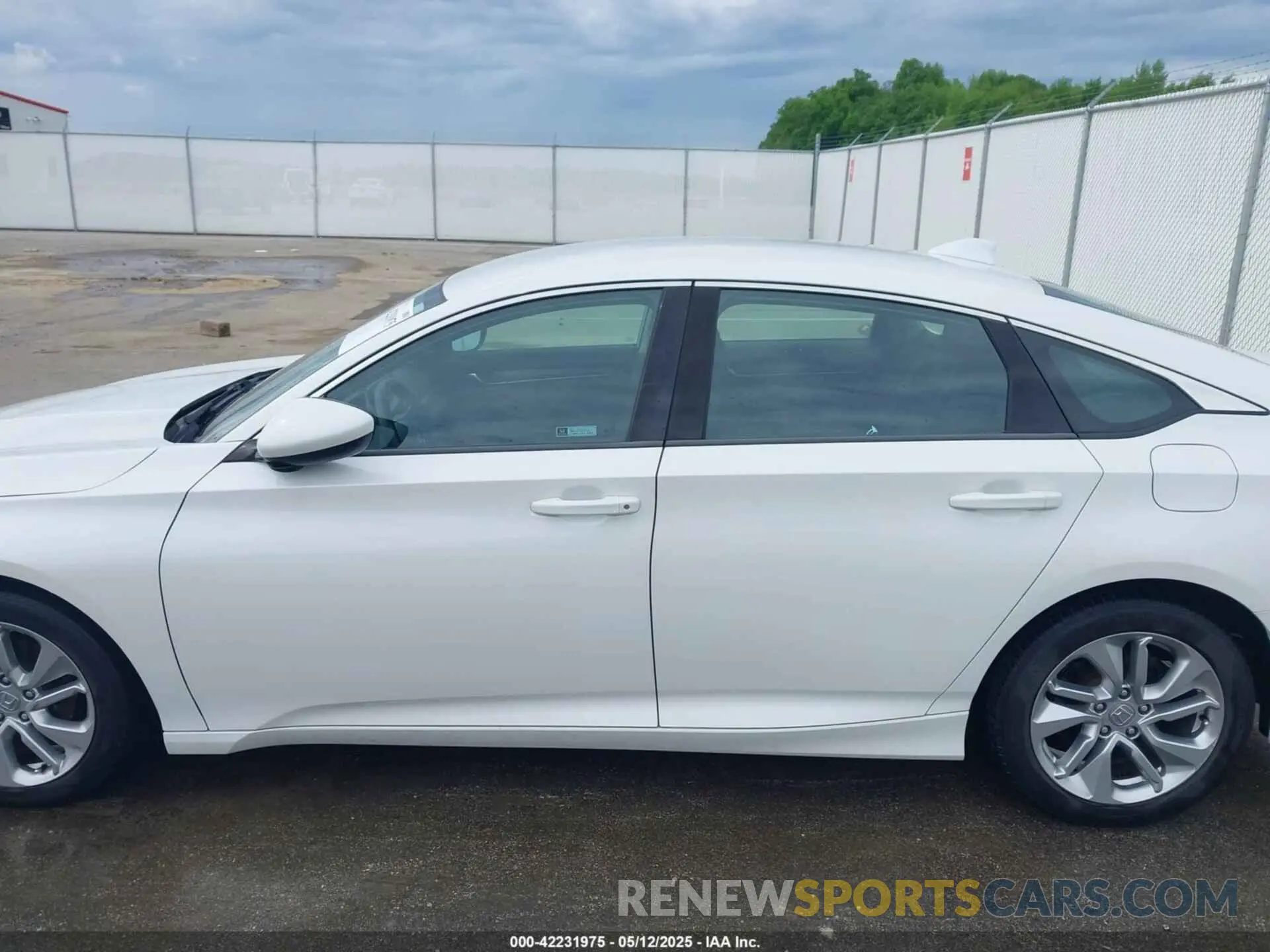 14 fotografías del automóvil dañado 1HGCV1F19KA081938 HONDA ACCORD 2019